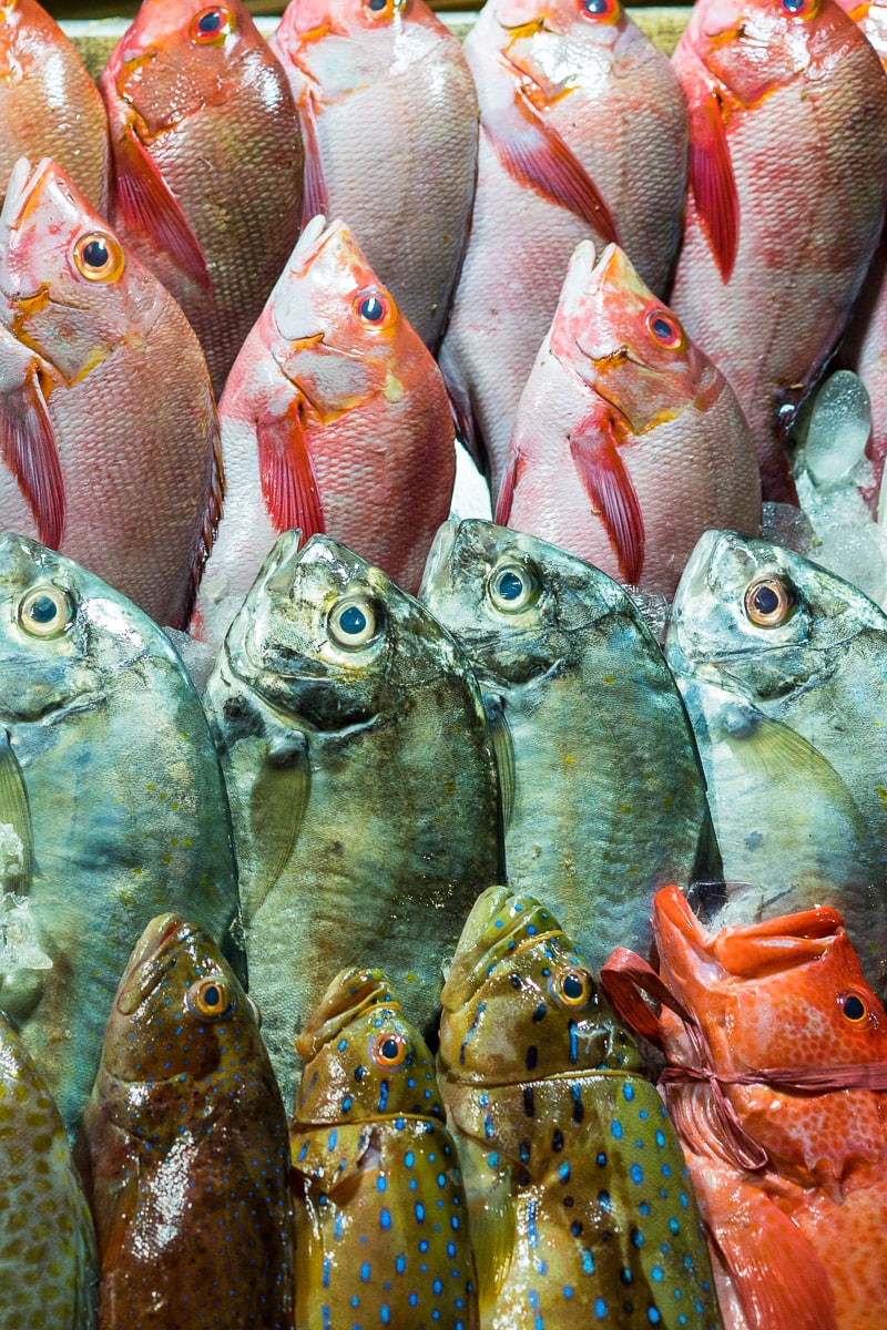 Fresh fish for sale at Labuan Bajo night market, Flores, Indonesia