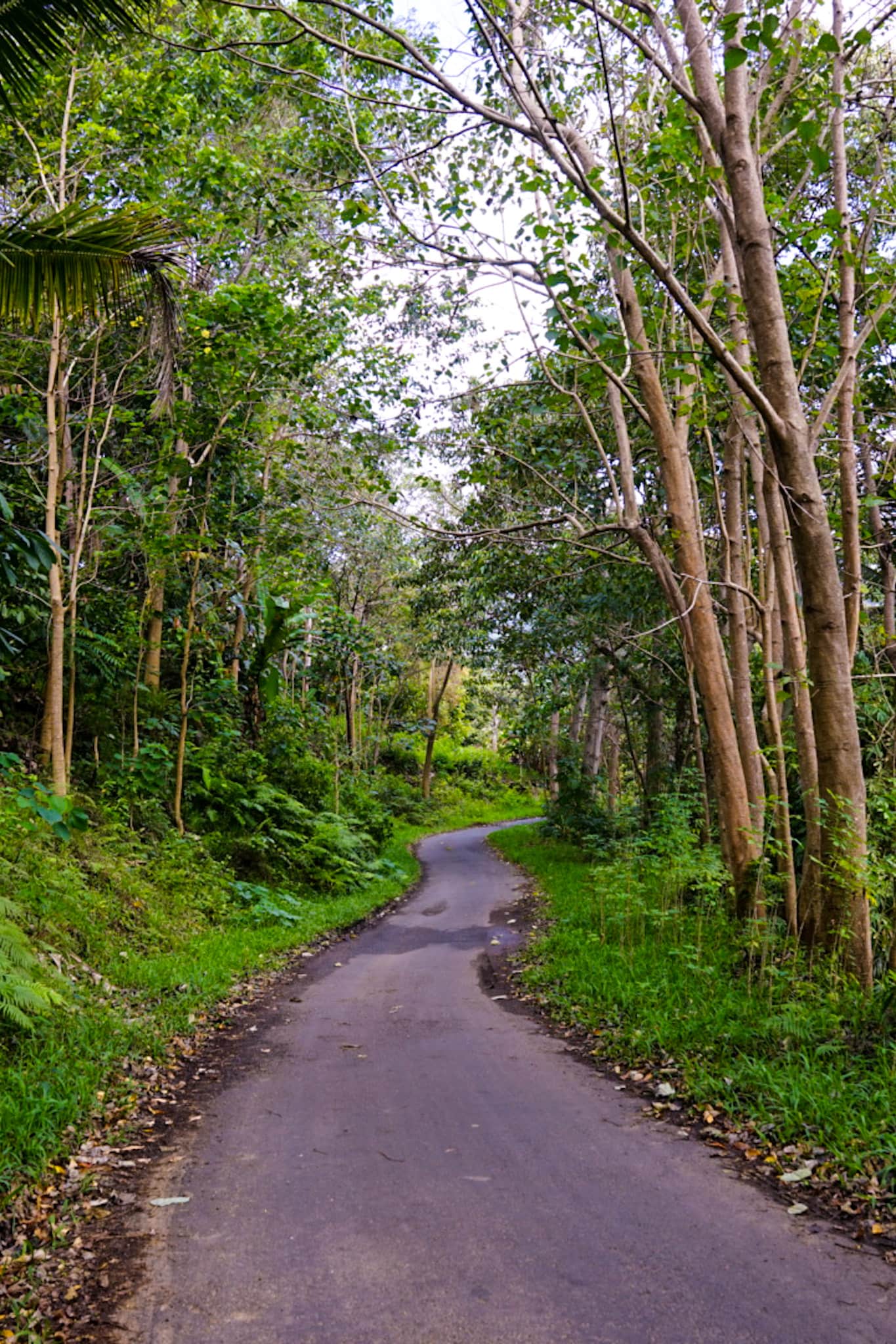 Flores Indonesia Itinerary