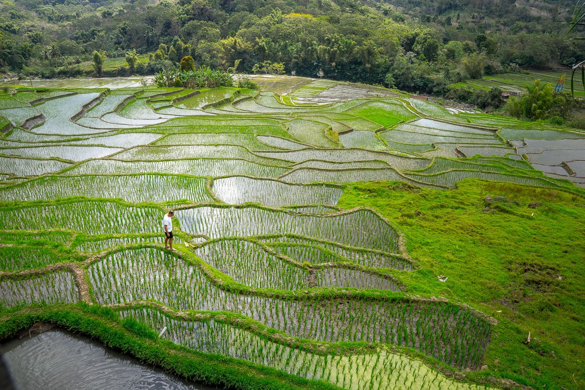 I am walking in emerald green rice paddies in this photo, taken near the the town of Moni during our overland trip. toFlores, Indonesia