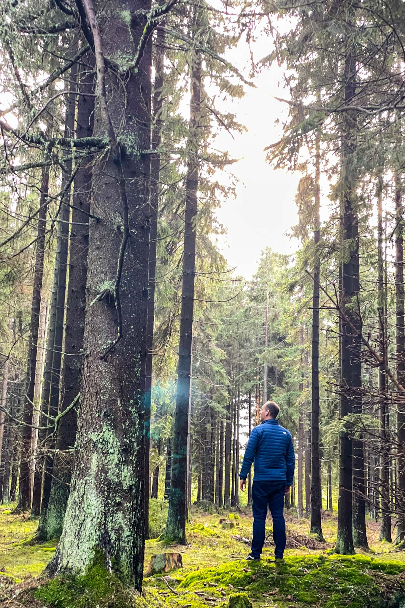 A photo of me, taken from behind, with me walking the woods near Marianske Lazne