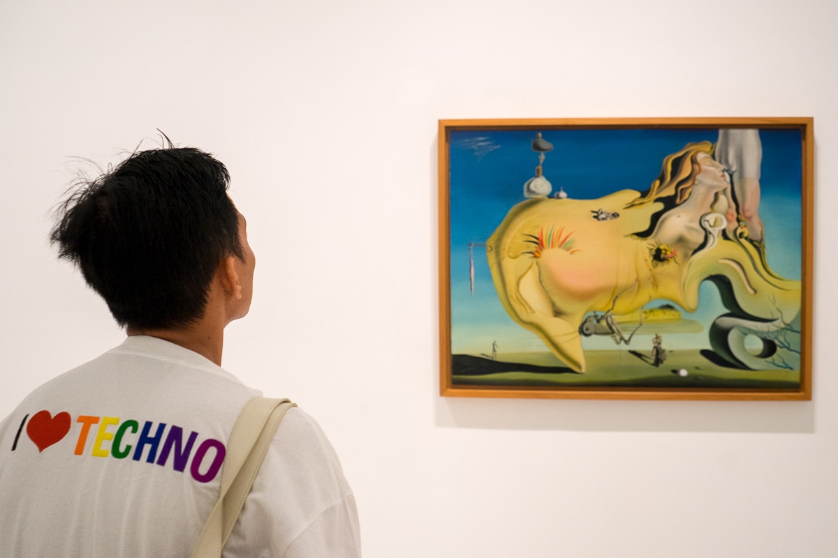 Best Museums in Madrid: A man admires a painting called the The Great Masturbator by Dali in the Reina Sofia, Madrid