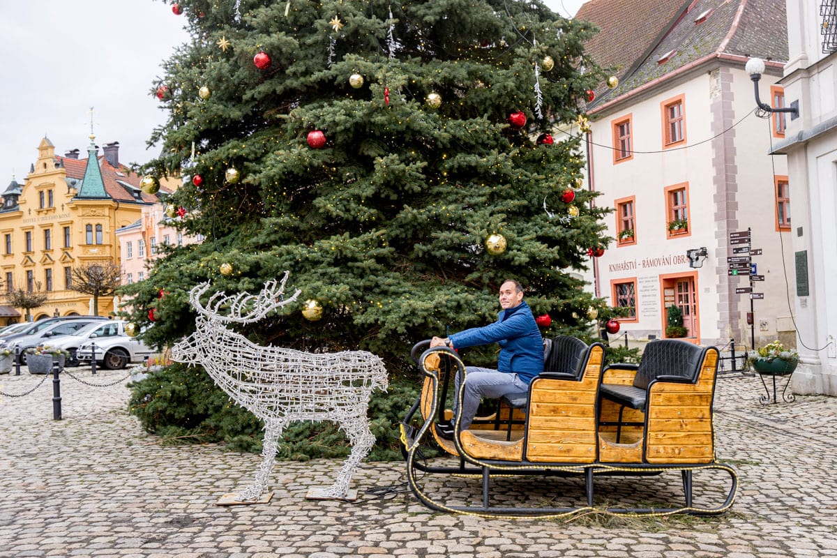 De Wet from Museum of Wander posing on a sled pulled by a ornament  reindeer in front a a huge Christmas tree in the town square of Loket, Czechia