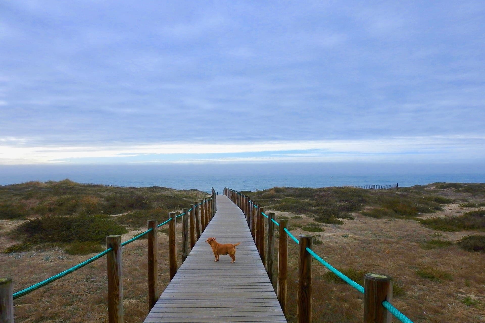 Best Portugal beach towns