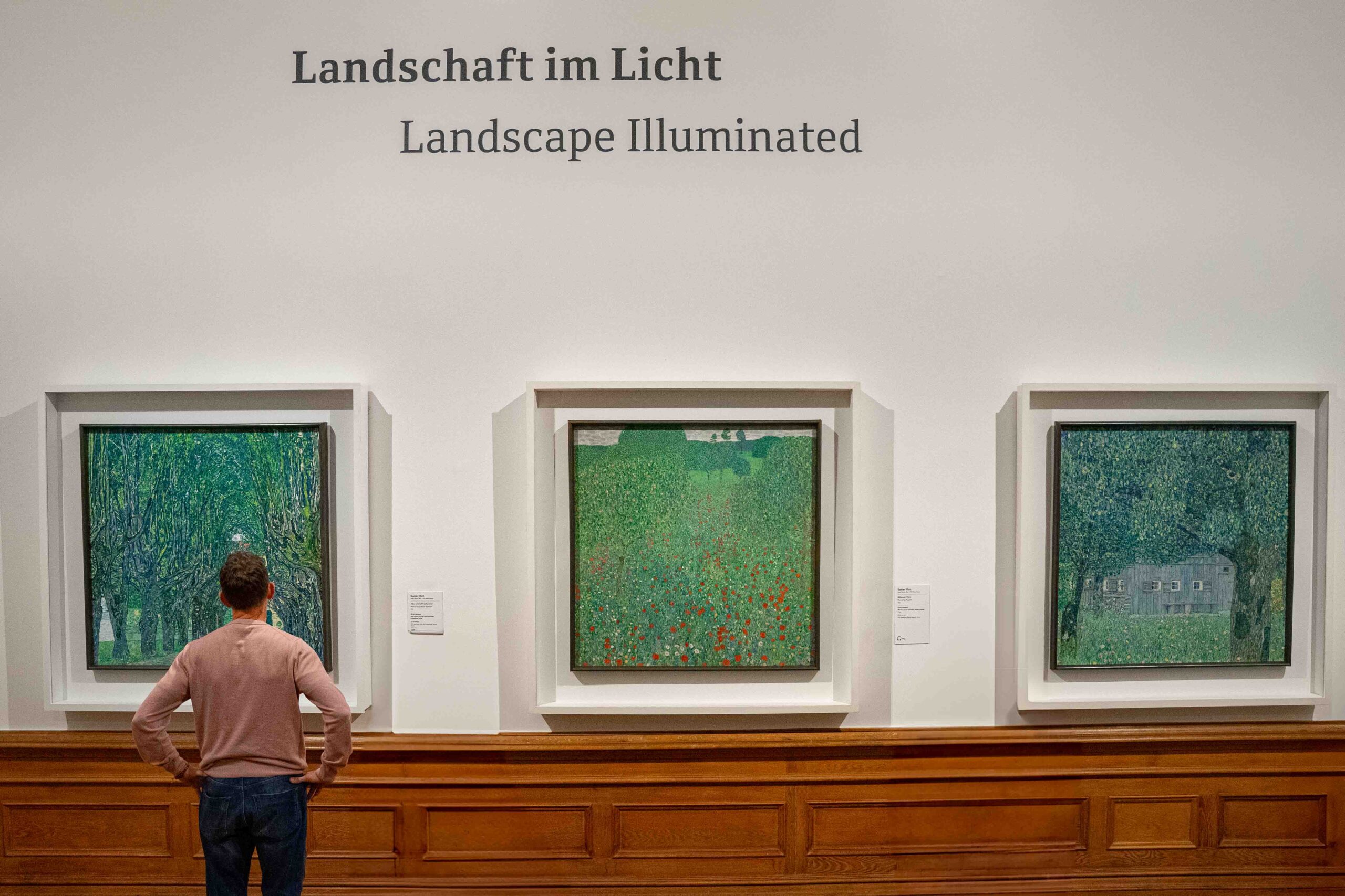 A man looks at Klimt landscapes in the Belvedere