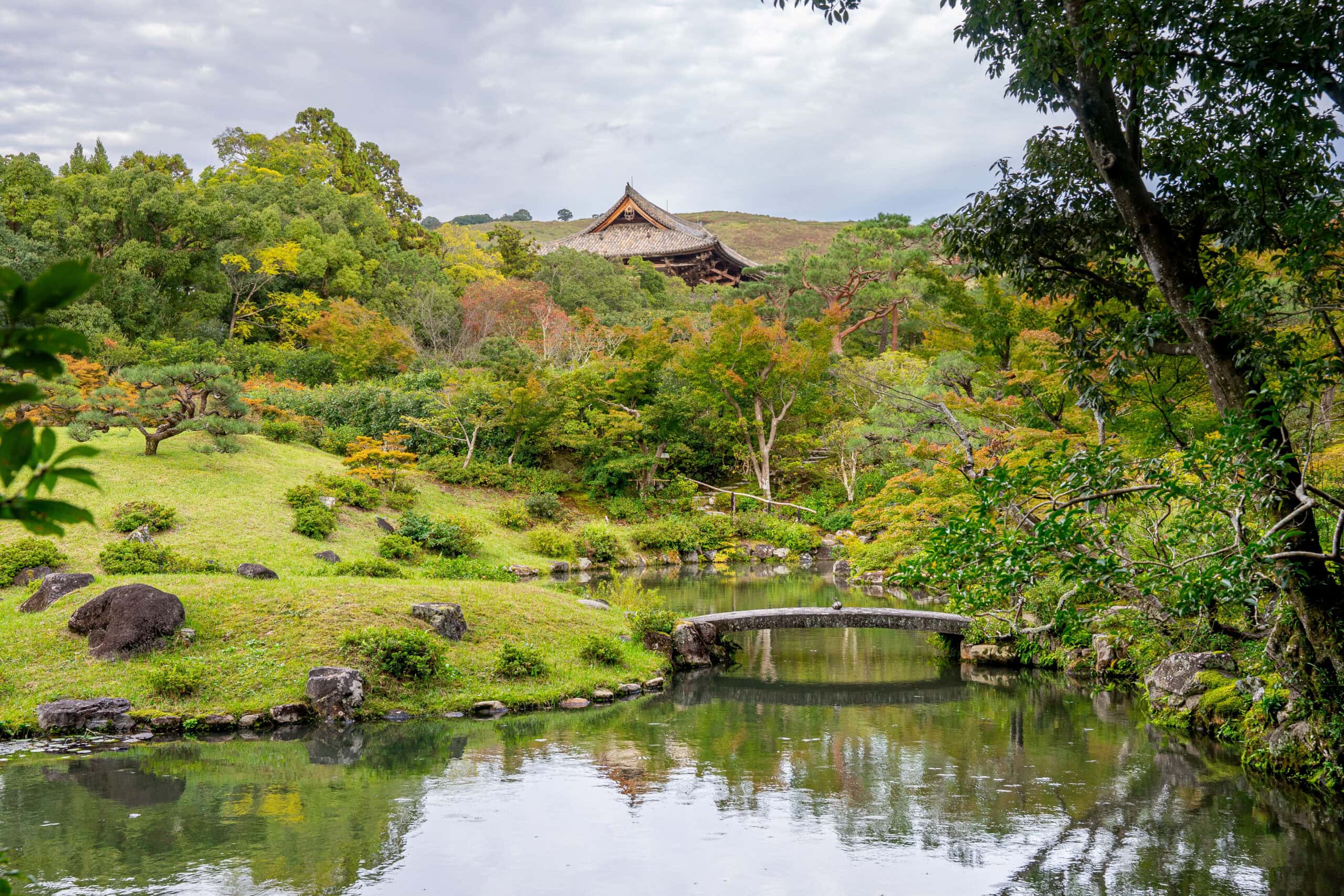 Nara day trip from Kyoto
