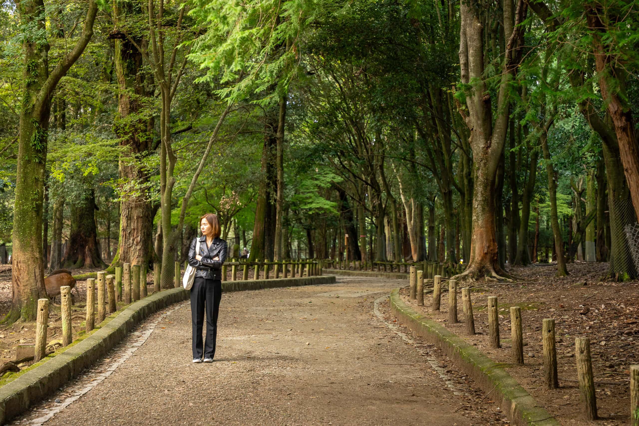 Jin walking along a forested path in Nara, with deer grazing next to her