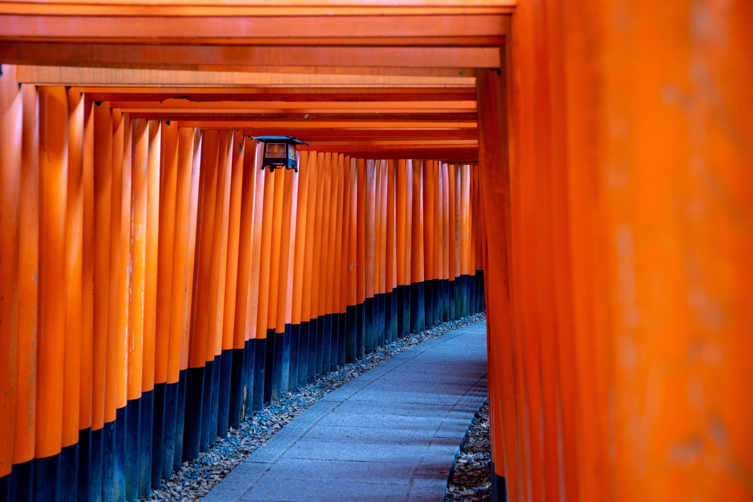 Fushimi Inari Hike Guide With Practical Photography Tips