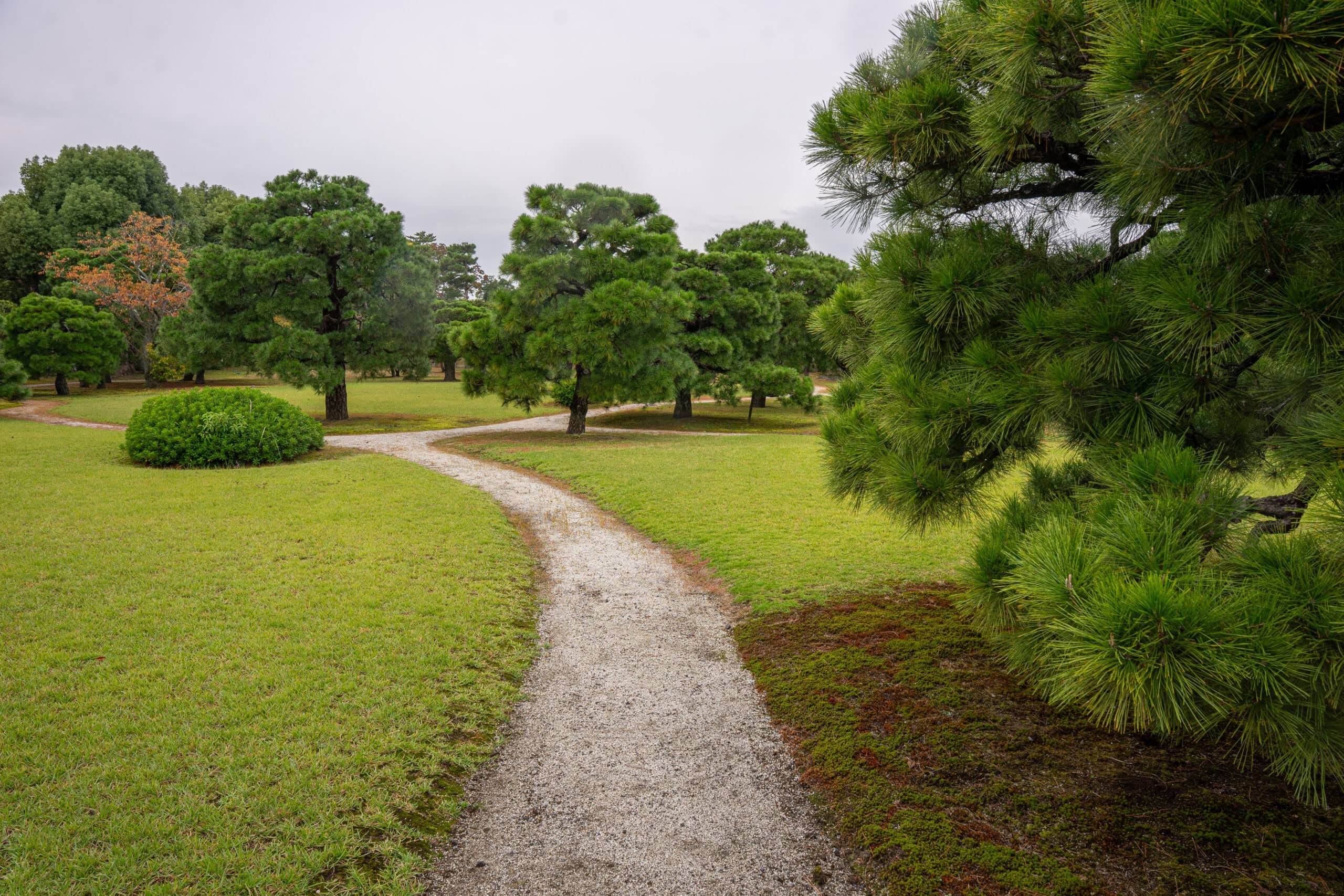 A path winds throiugh the gardens of the Nijo Castle