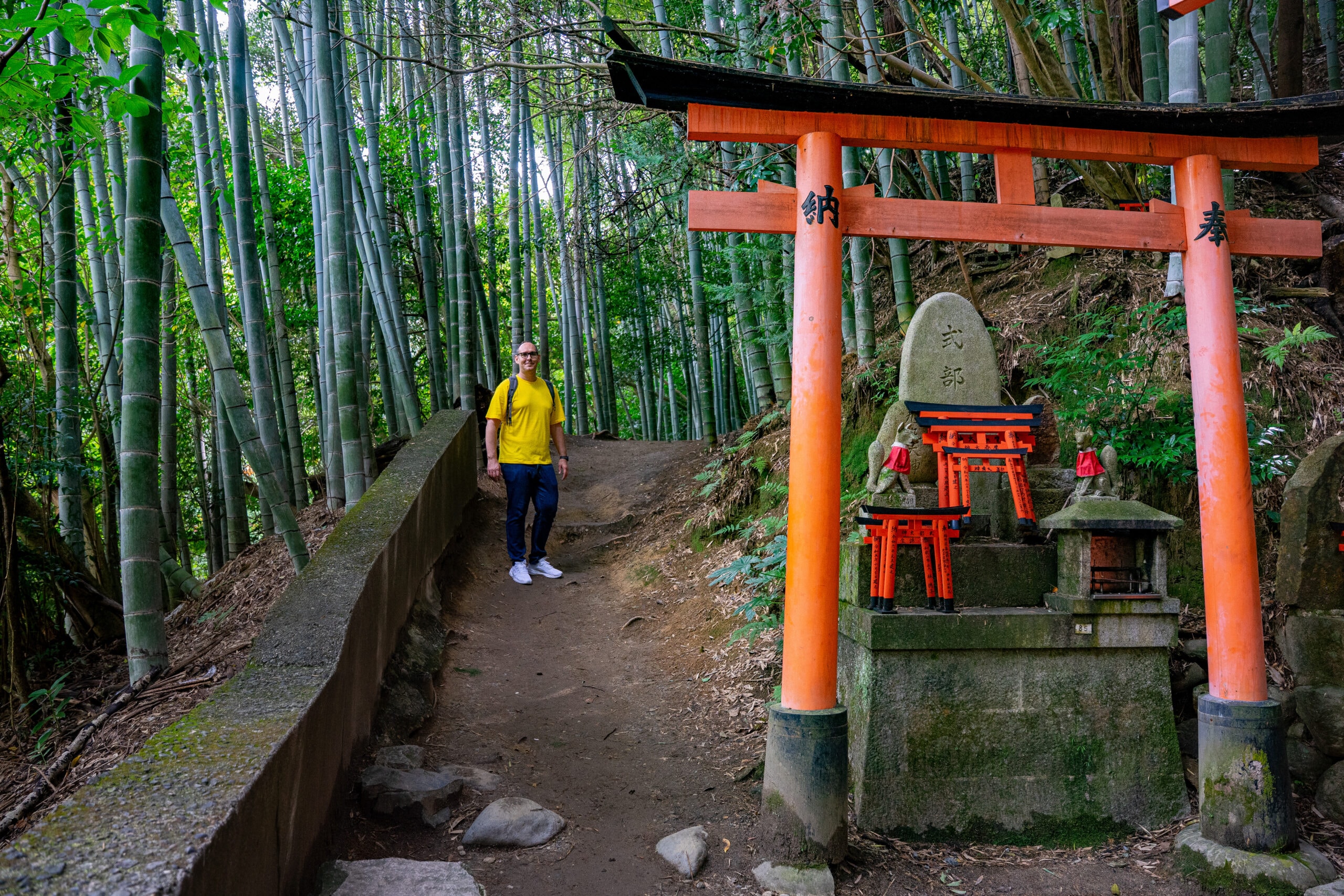 I am standing on a forest path lined with tall bamboo. In the foreground there is a shrine with torii gates.
