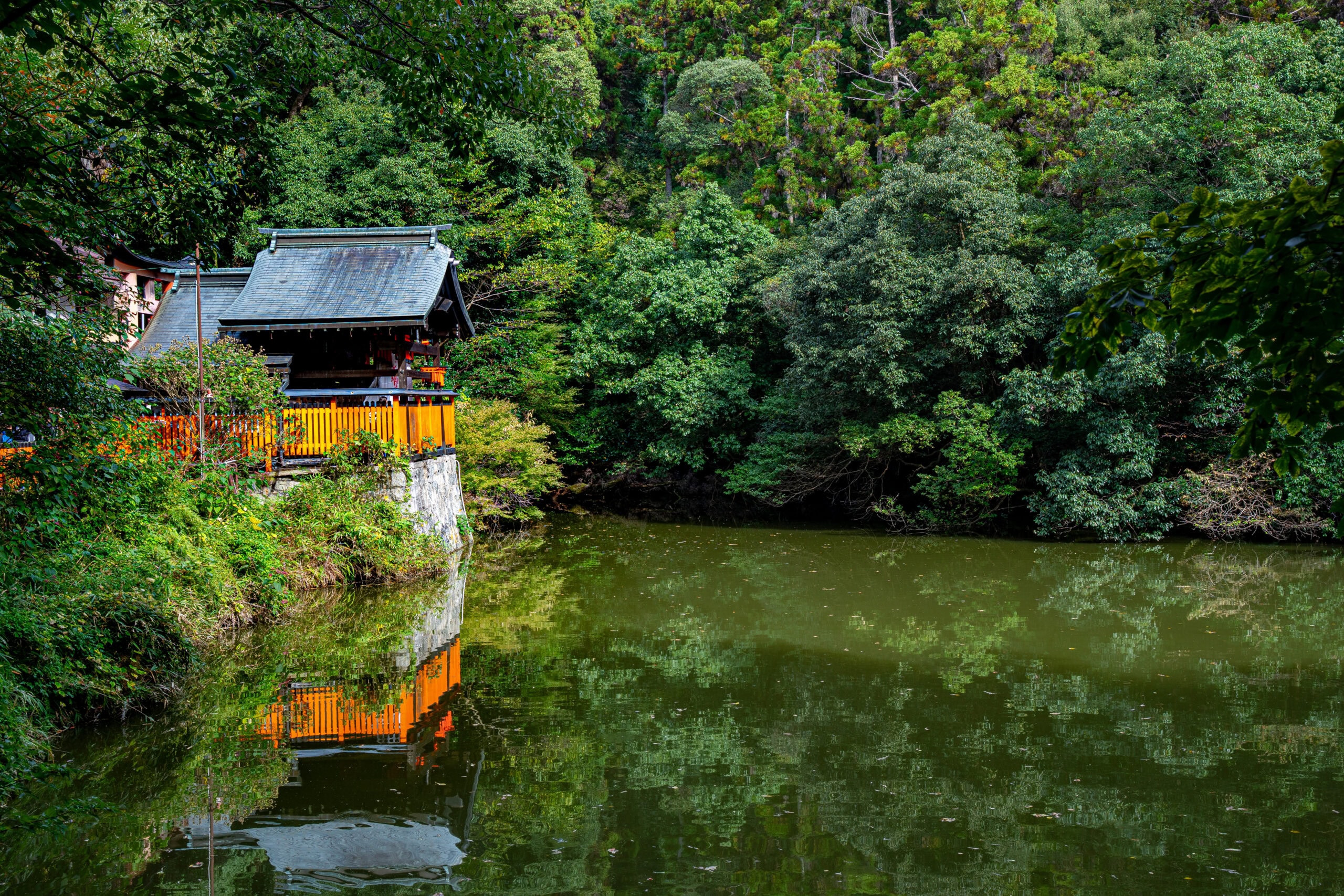 A scene of a green pond surrounded by forest halfway up mount Inari.