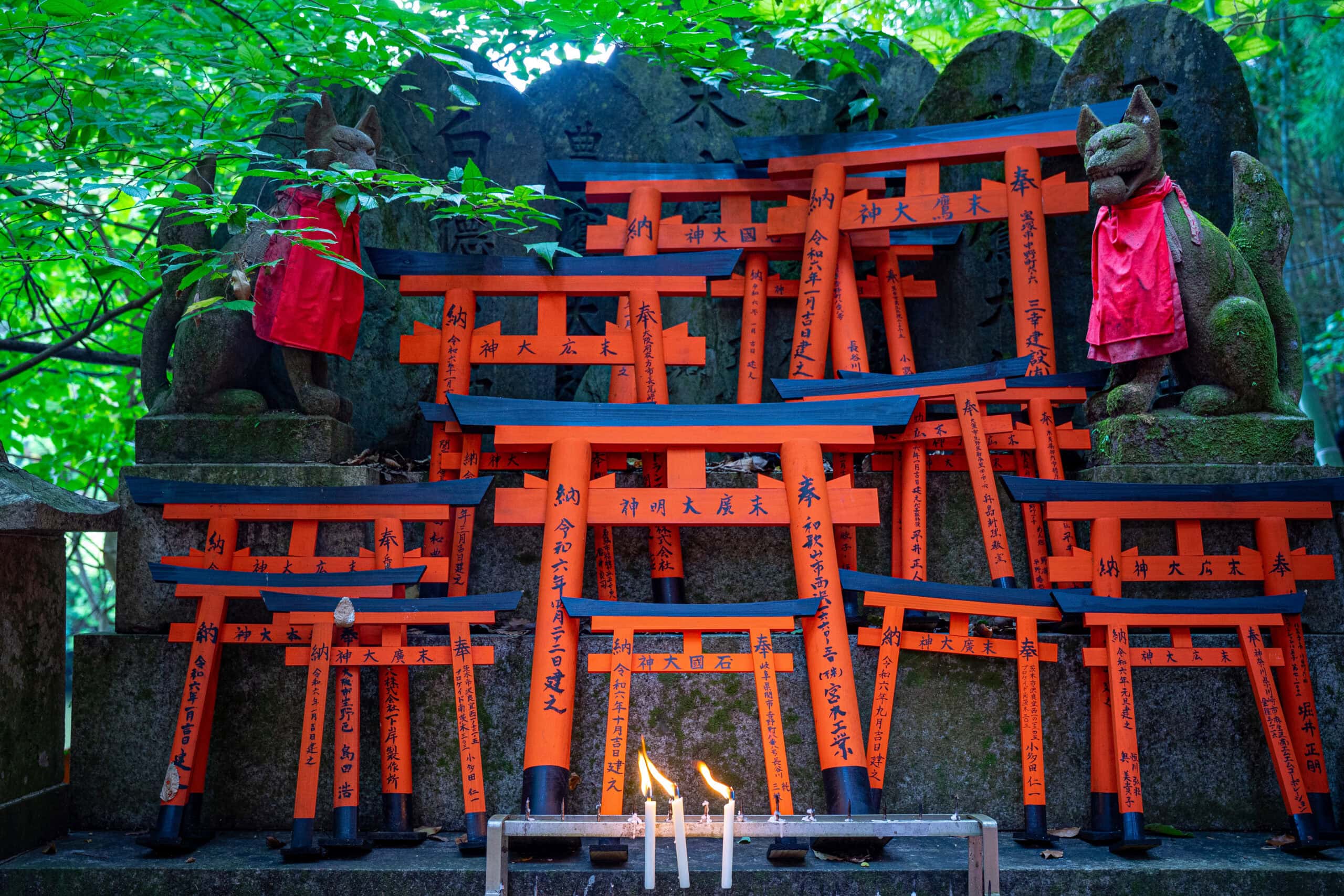 A shrine with many small torii gates flanked by two stone statues of foxes. Three candles are burning in front of it