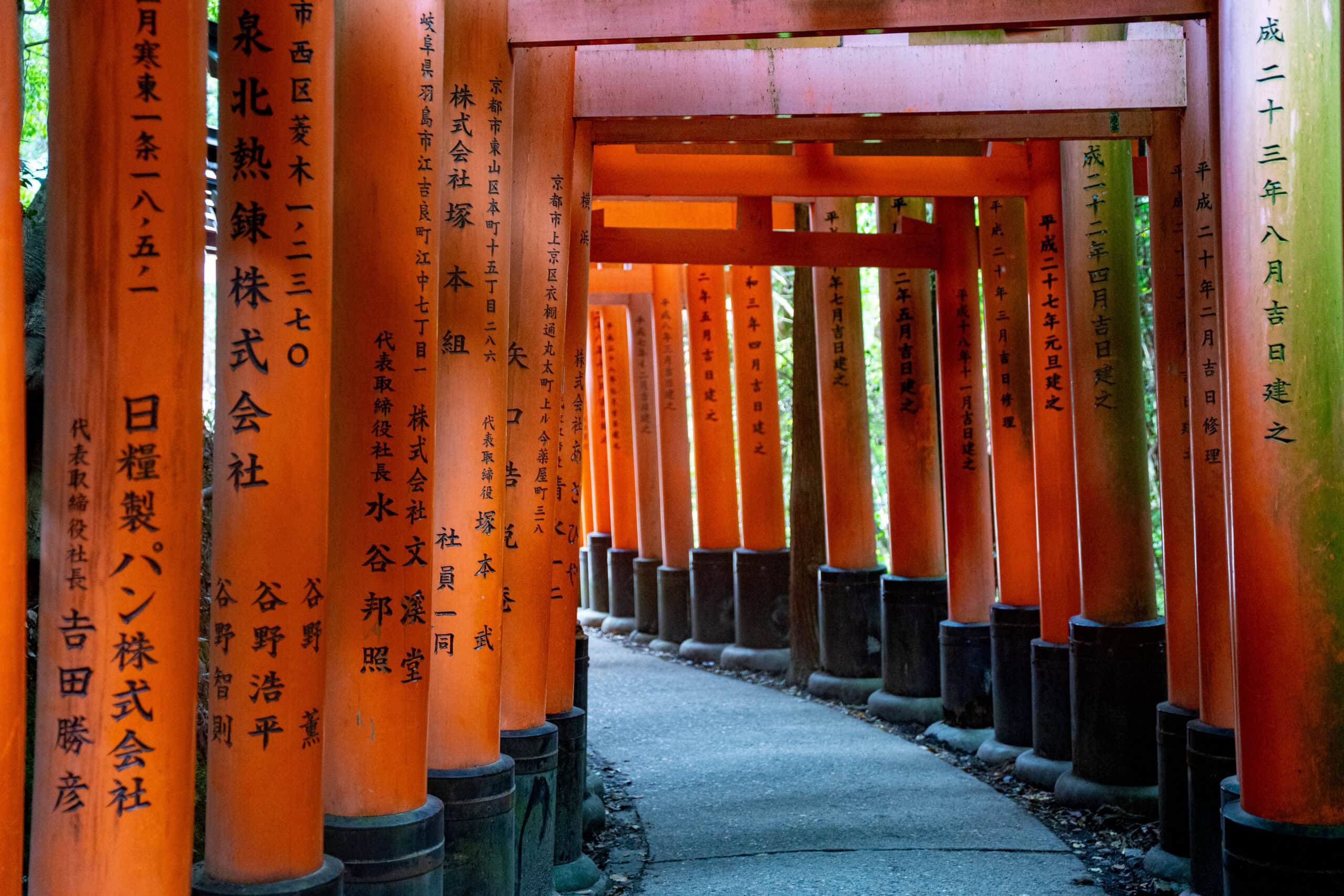 Torii Gates of Kyoto
