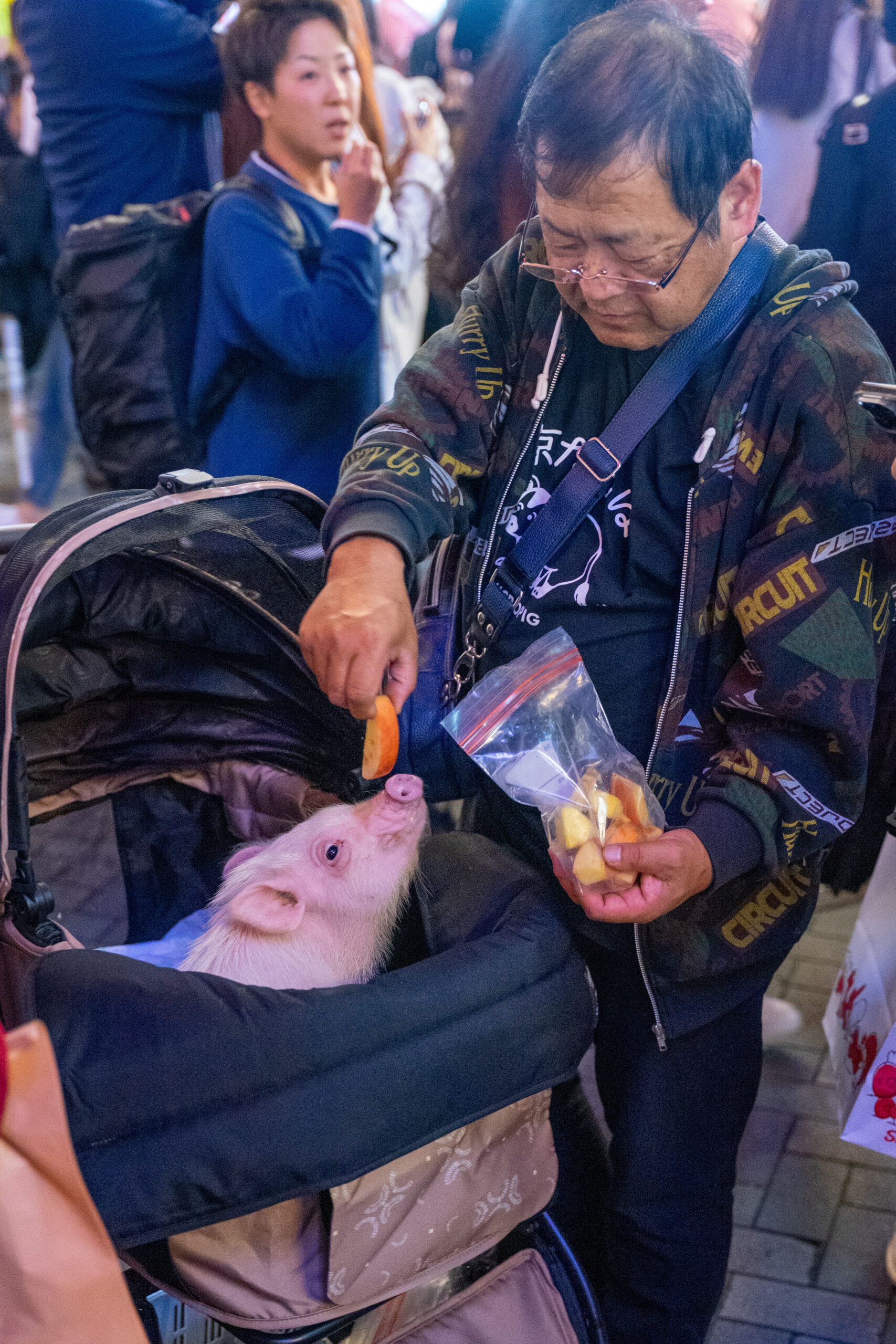 An elderly man feeds a piglet in a pram on the streets in Dotonburi