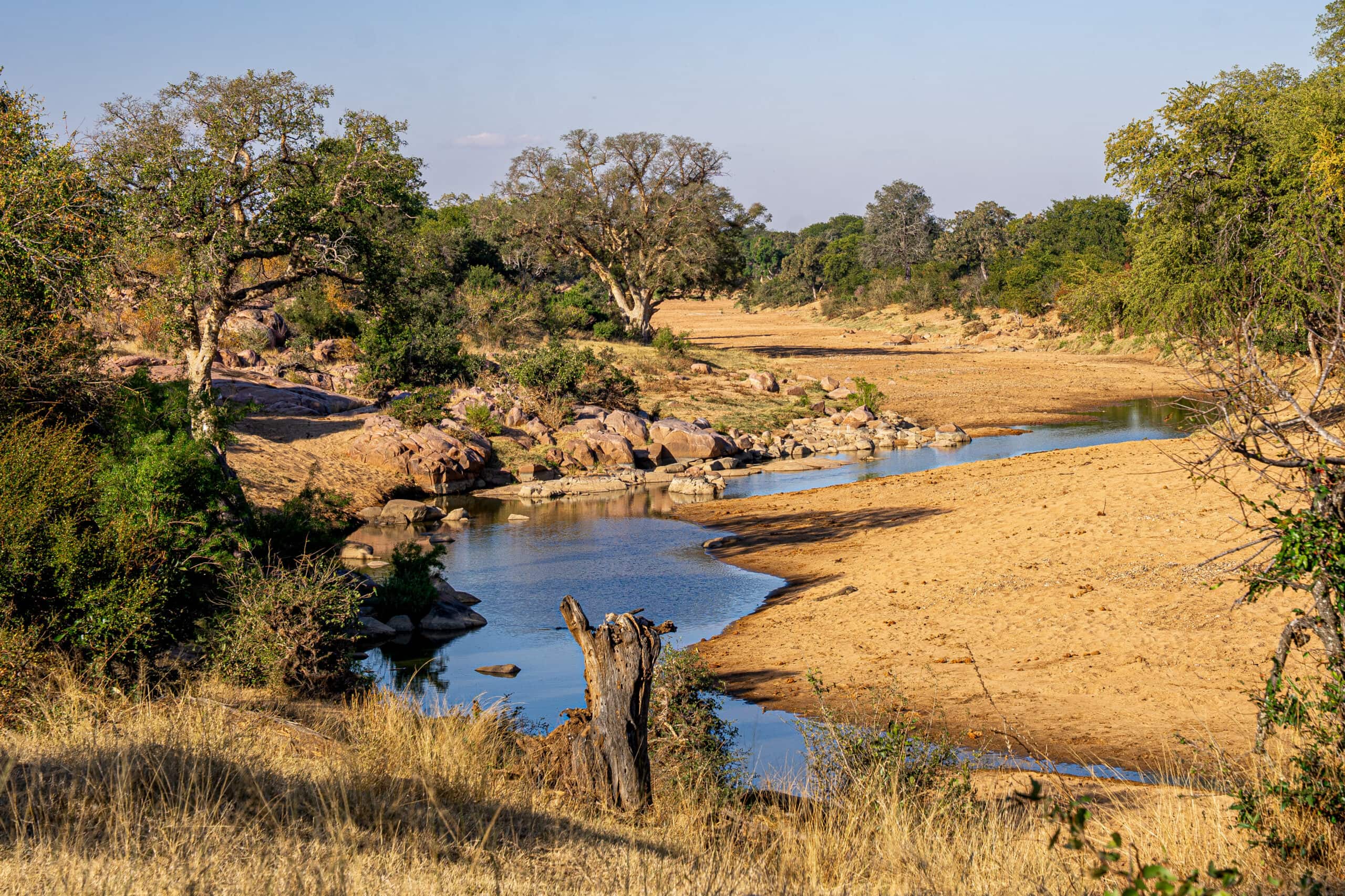Shingwedzi game drives Kruger: A stretch of river with large trees on the banks on the Red Rocks Loop (S52)