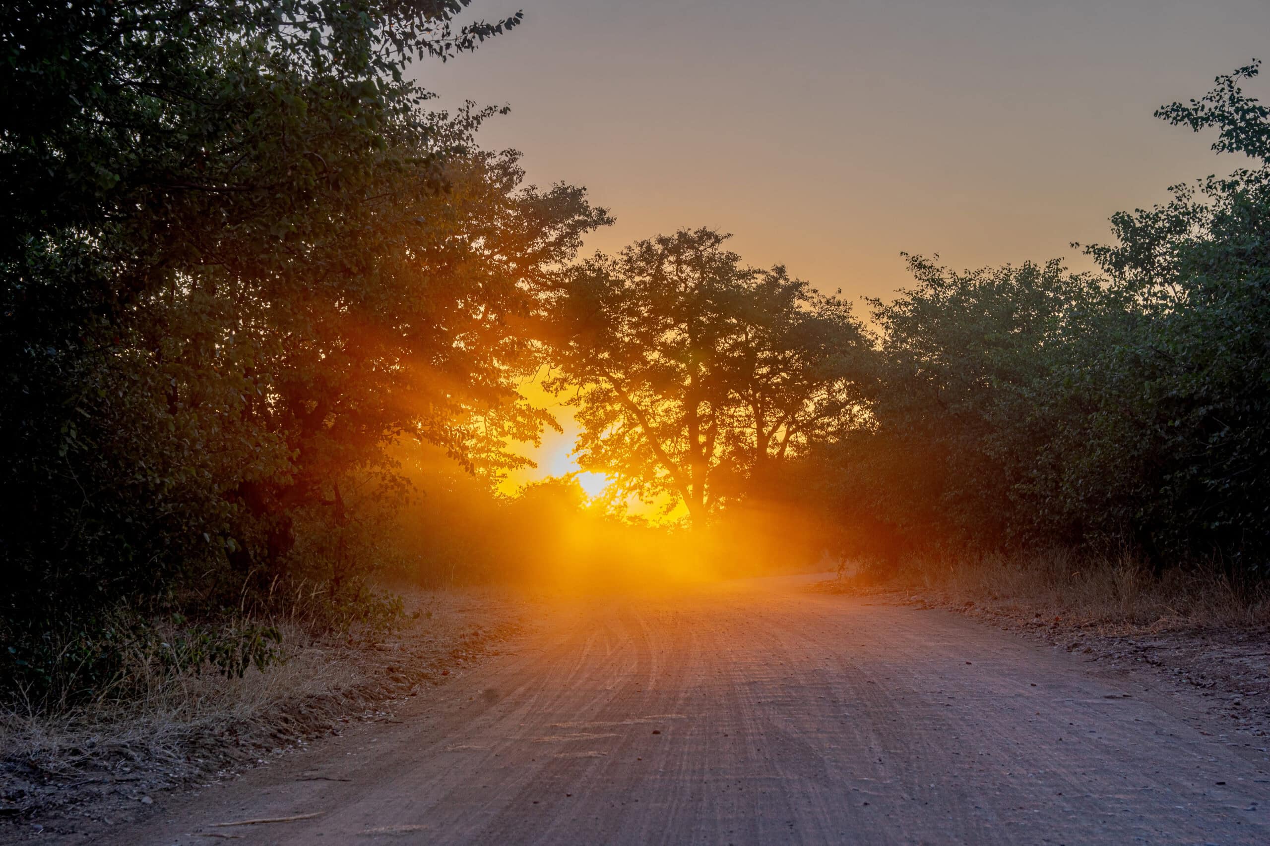 Shingwedzi sunset game drive