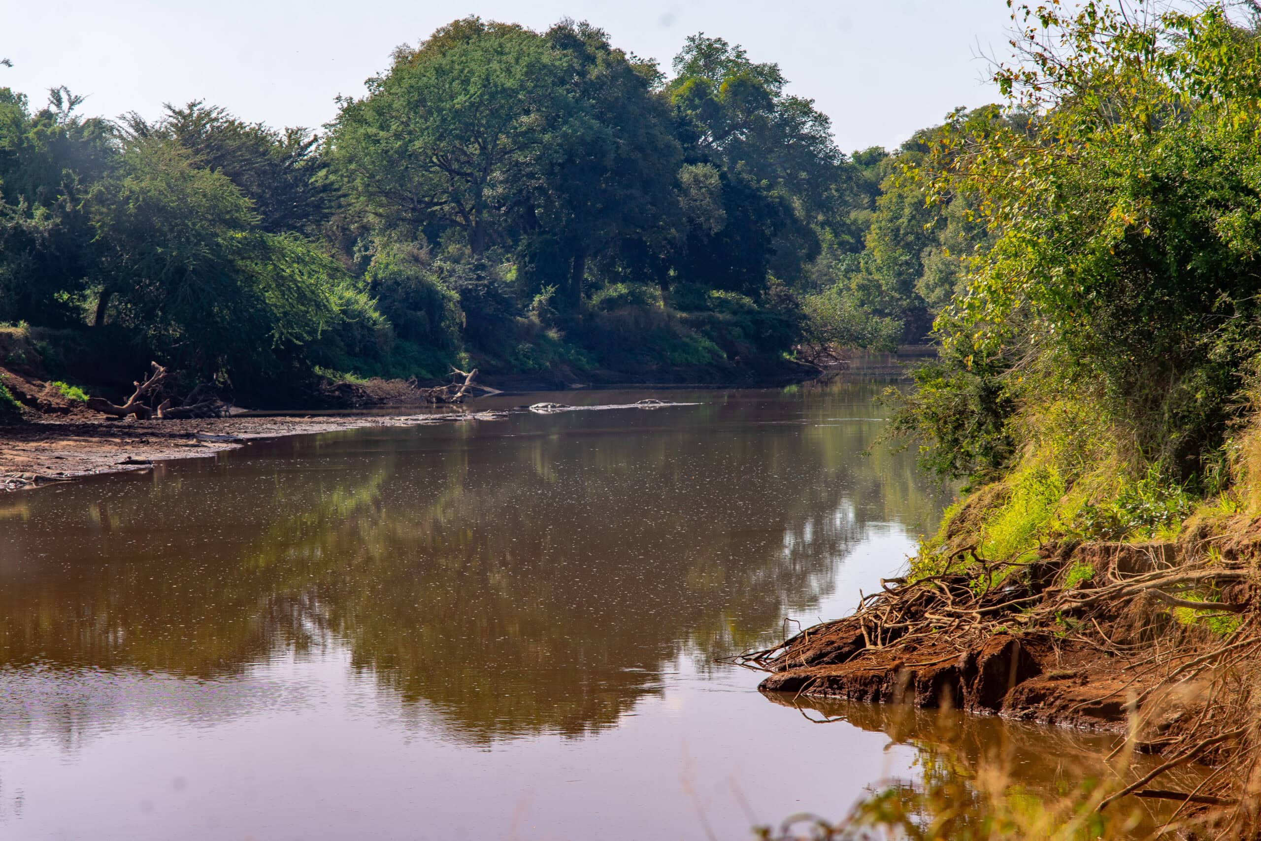 Luvuvhu River, Northern Kruger Park