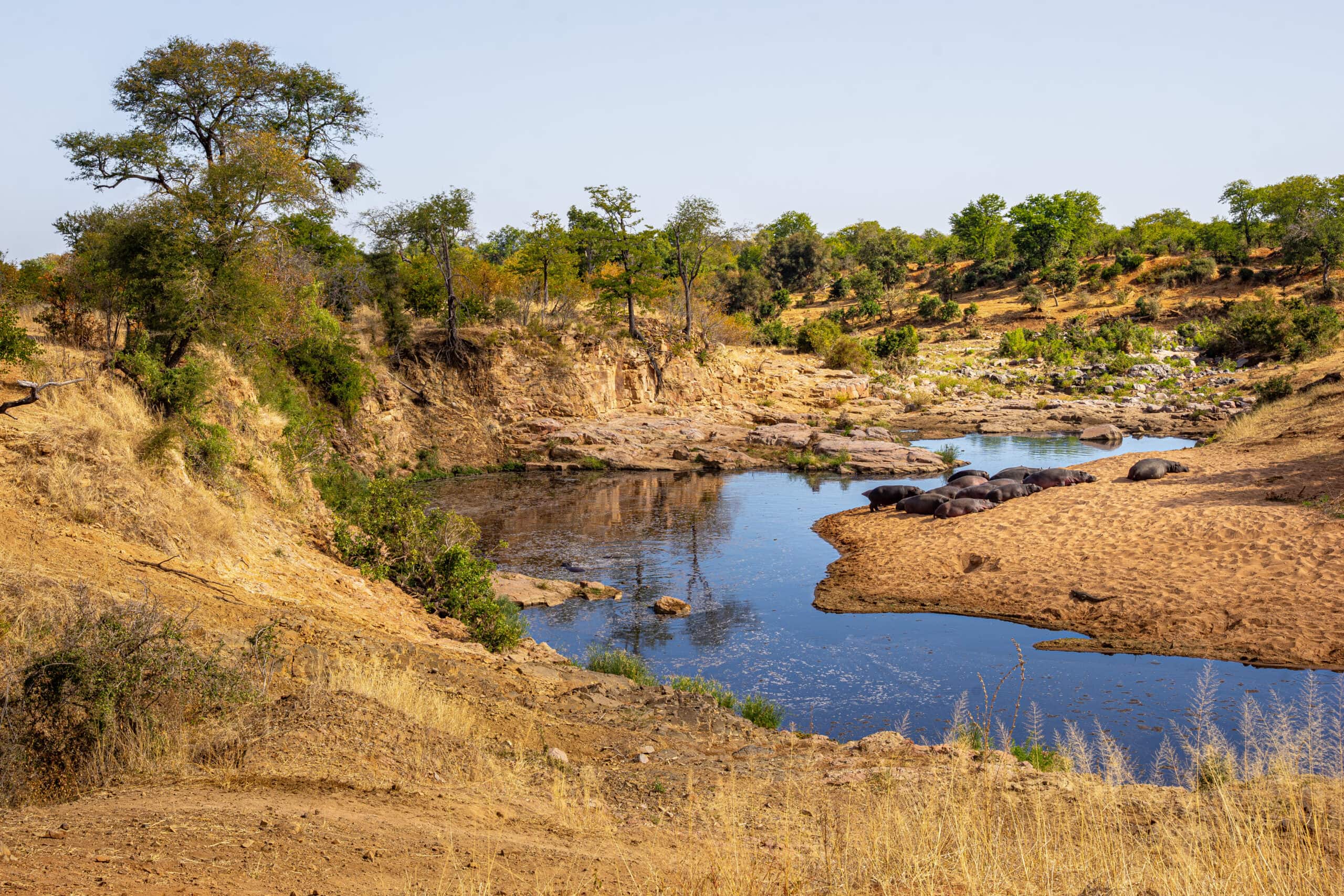 A scene along the Mpholongo River near Shireni Bushveld Camp