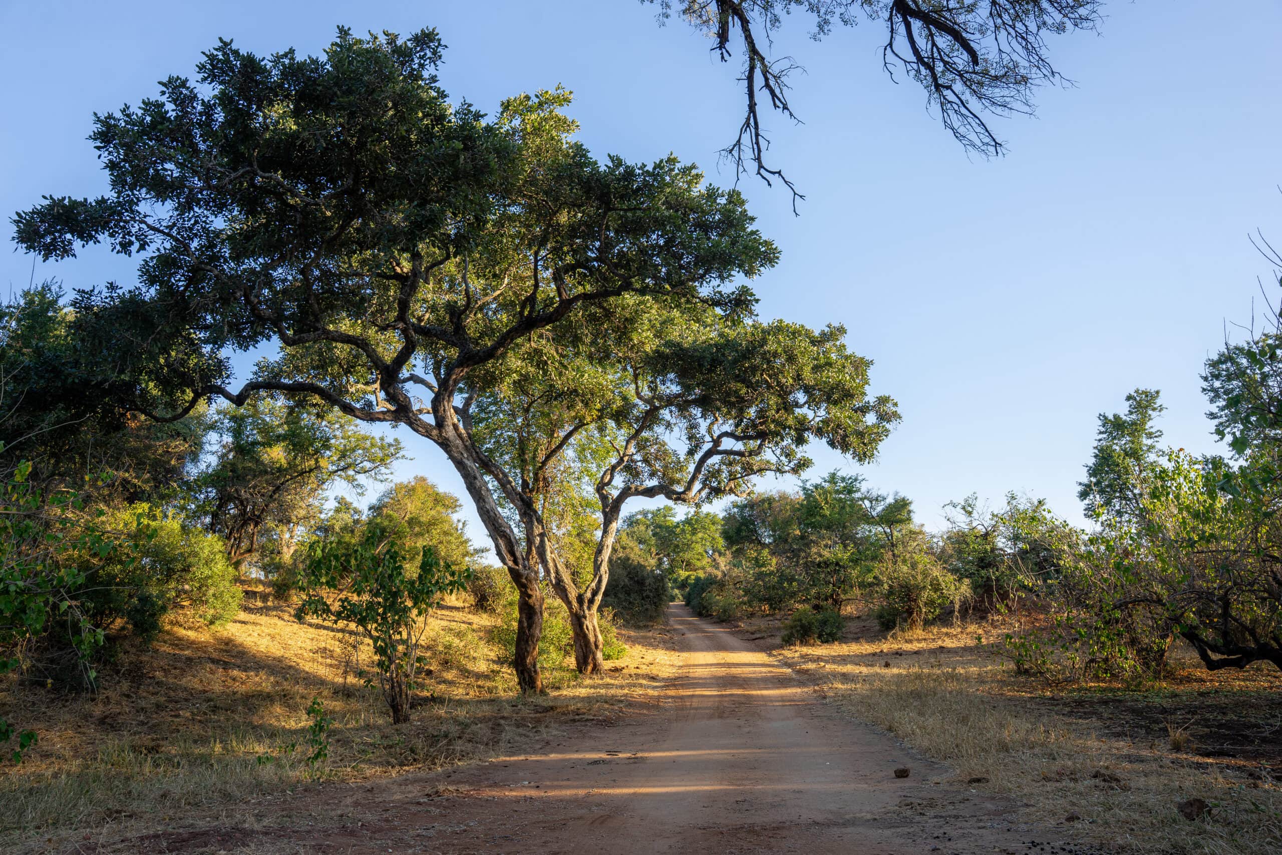 Mpholongo Loop road
