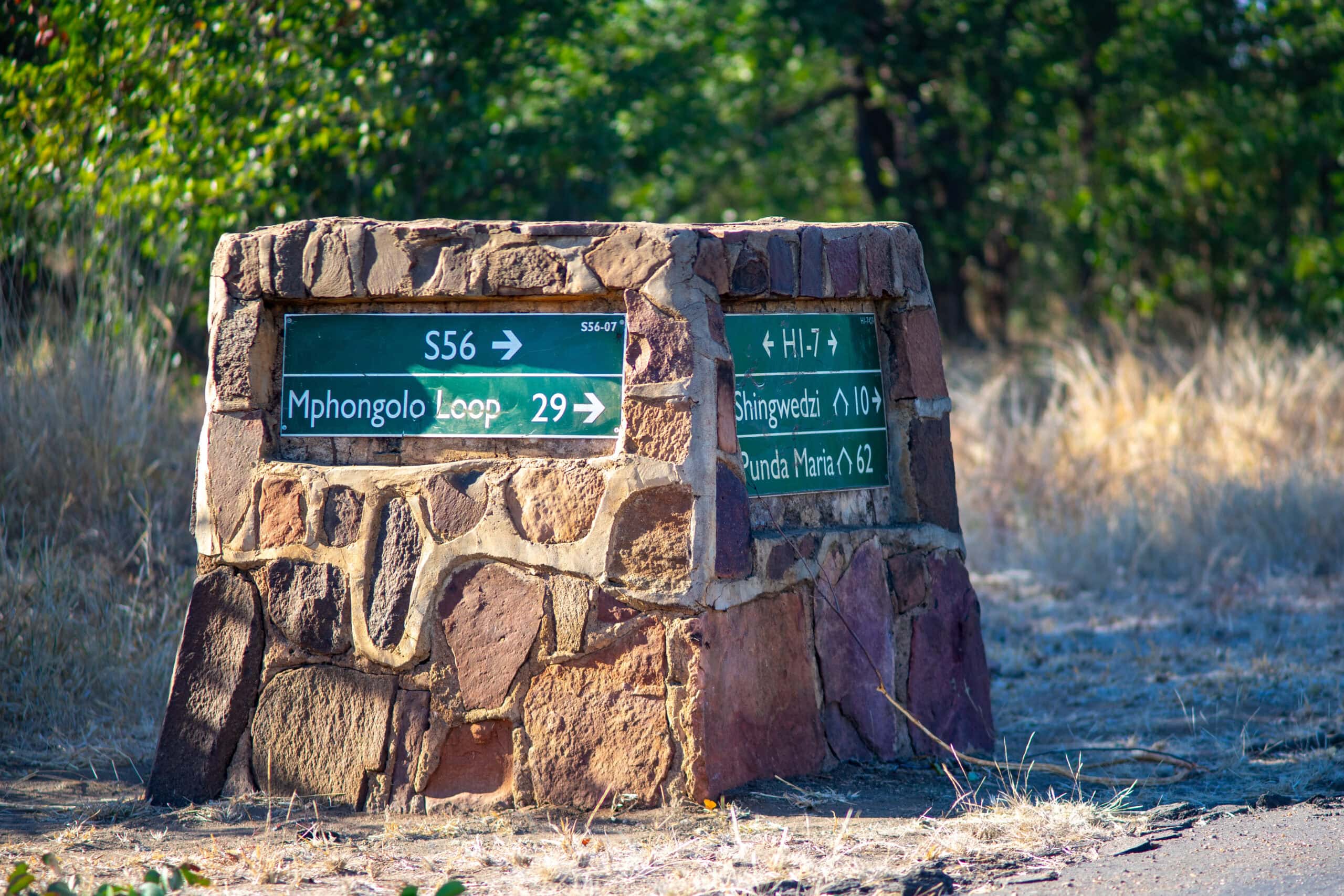 A road sign showing the turn off to the S56 Mpholongo Loop in Kruger. The distance shown is 29 km. It's 10 km from Shingwedzi Camp and 62 km from Punda Maria