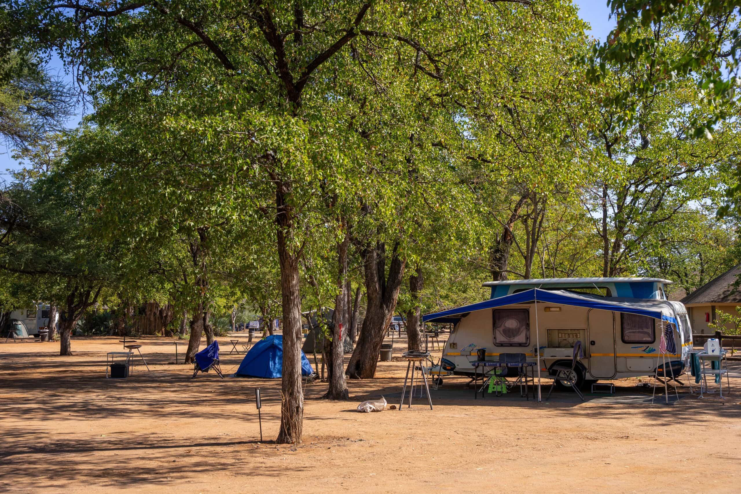 A caravan and a blue dome tent stand under mopani trees at Shingwedzi campsite, Kruger