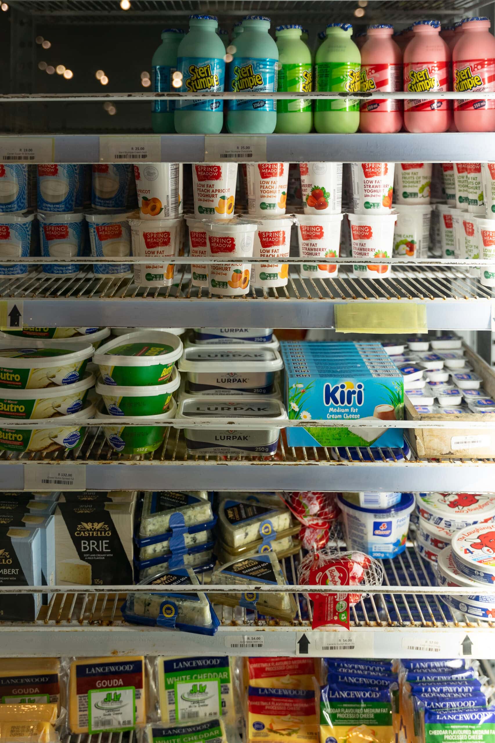 Selection of cheese and yoghurt for sale at Shingwedzi Park Shop