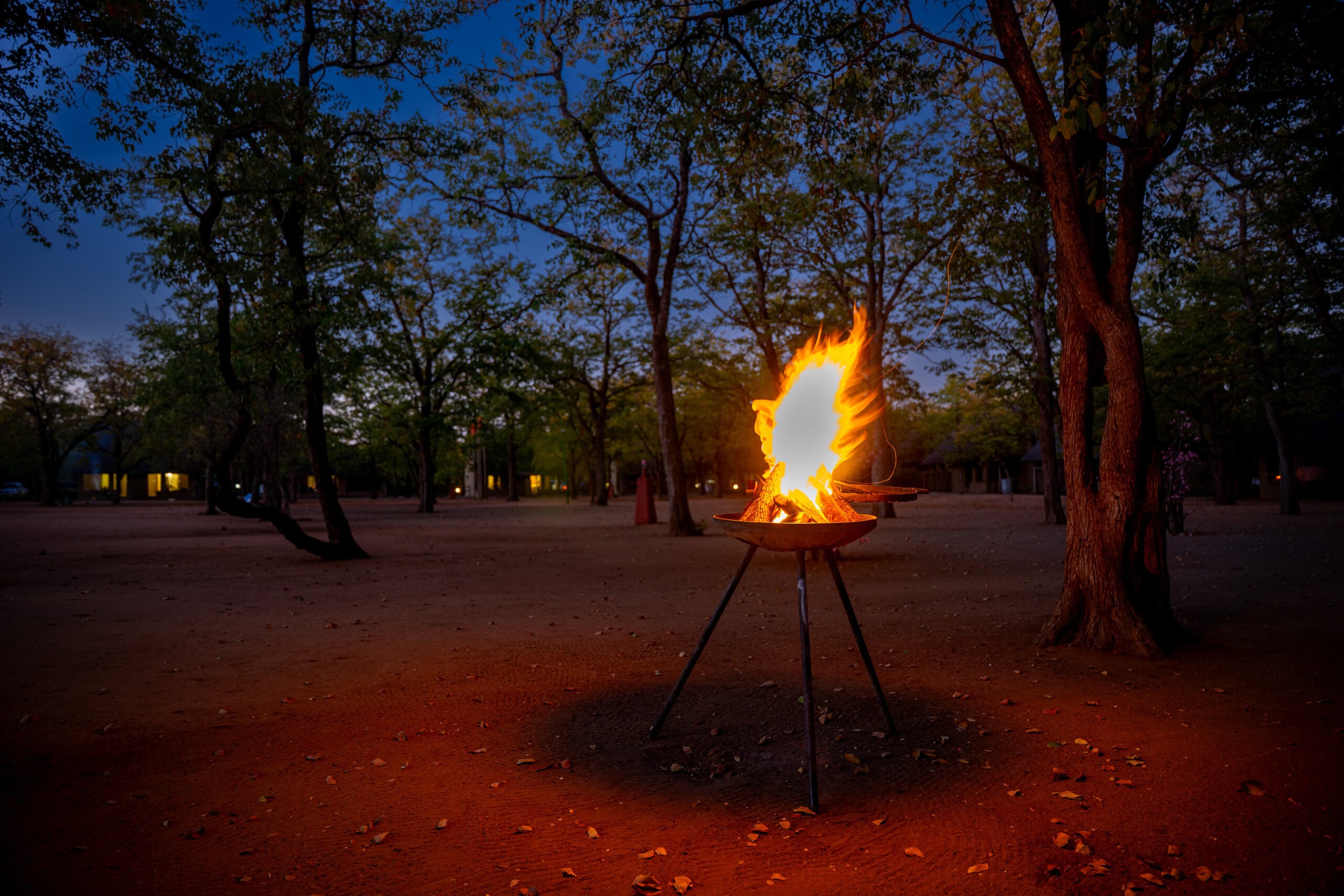 Shingwedzi Camp review Kruger