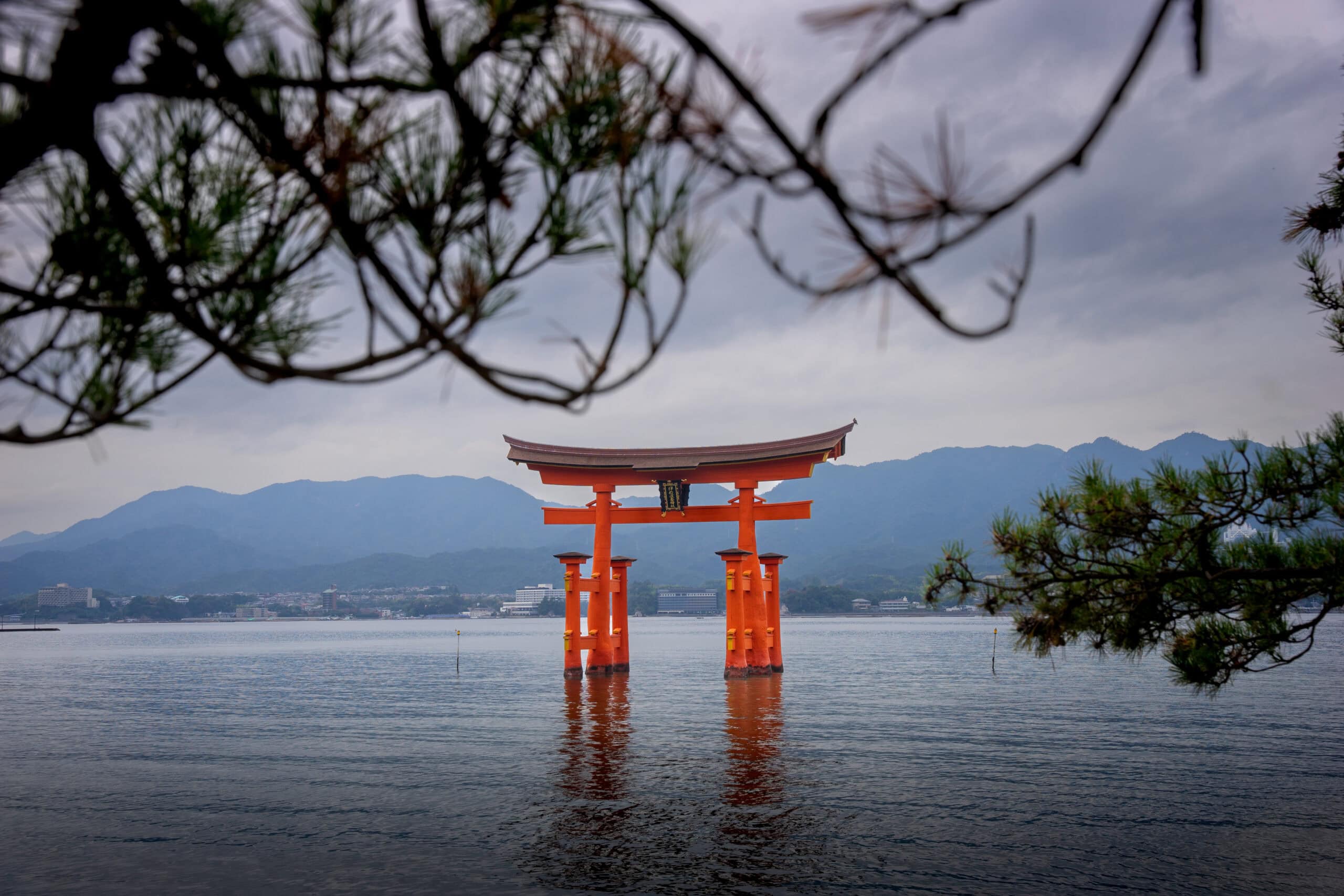 Floating torri gate on Miyajima island