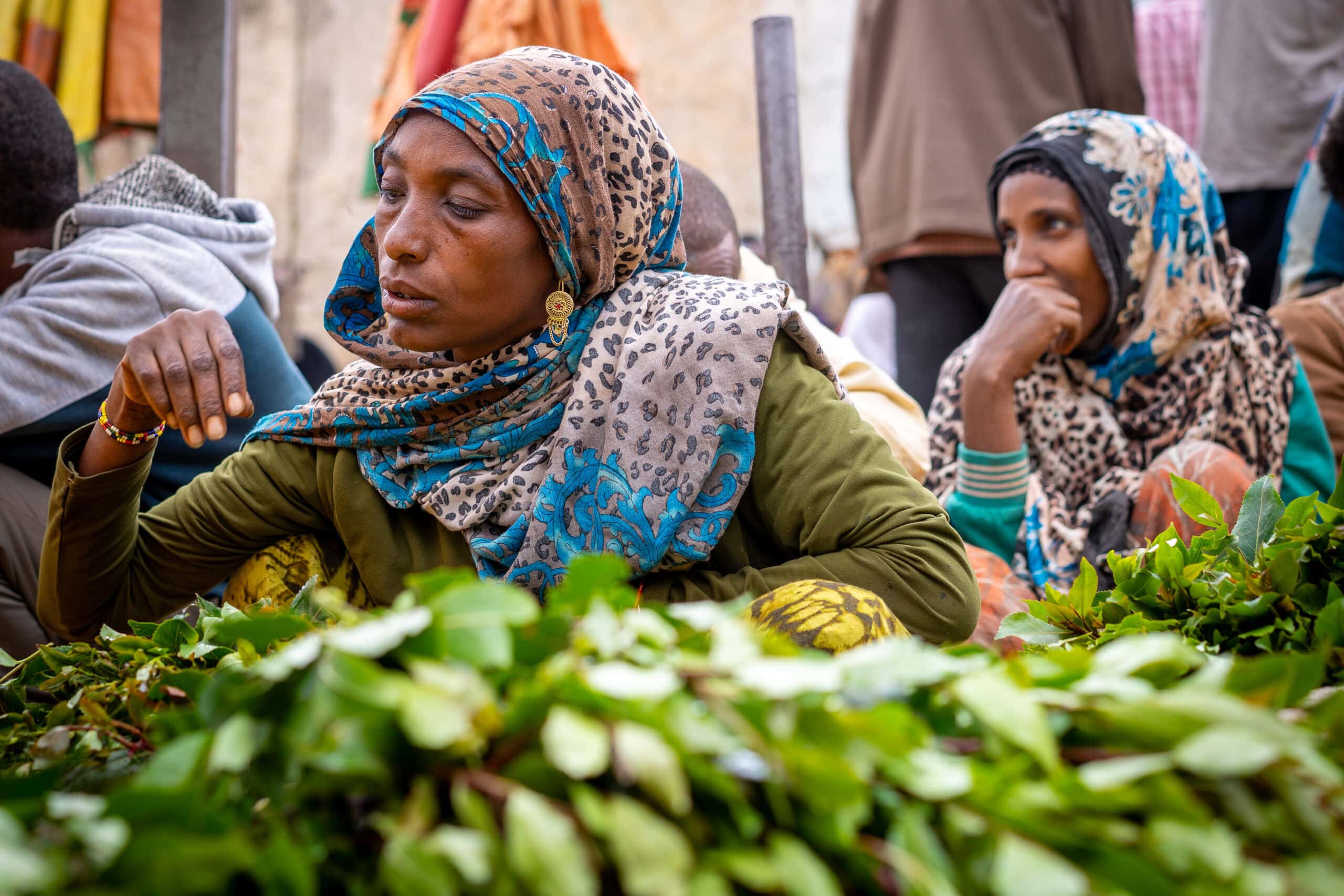 women selling khat at the Fallana Gate Market in Harar, Ethiopia
