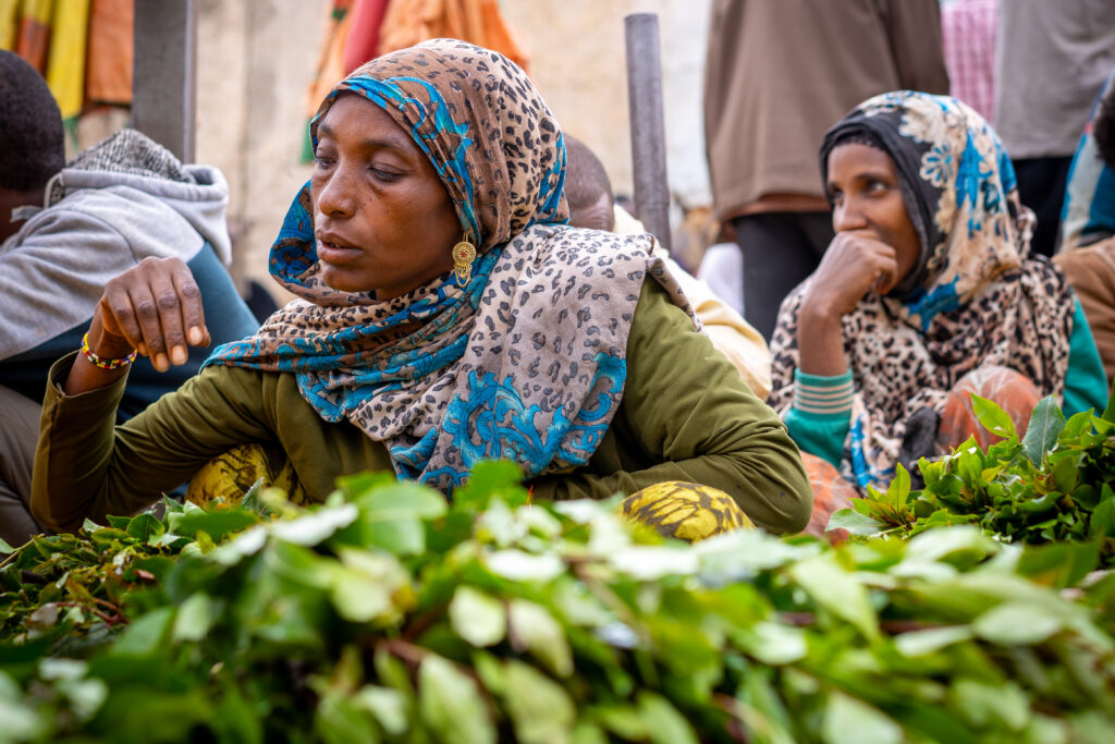 khat in harar ethiopia