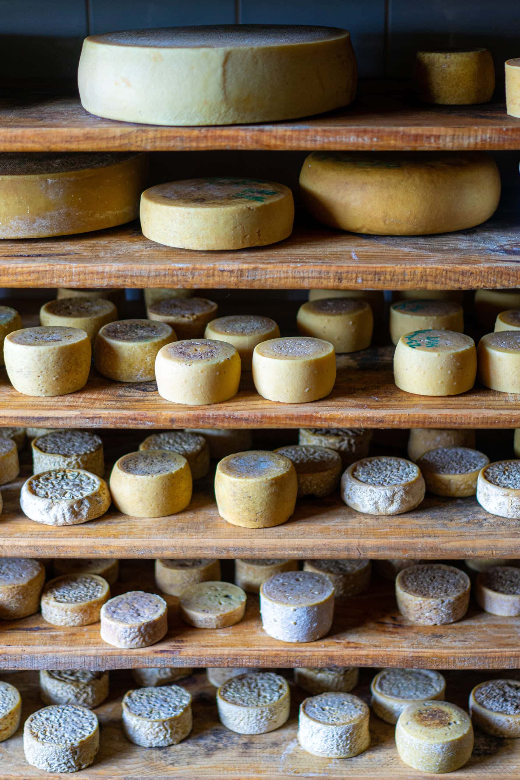 Wheels of cheese at Wegraakbosch Organic Cheese Farm near Magoebaskloof, Limpopo