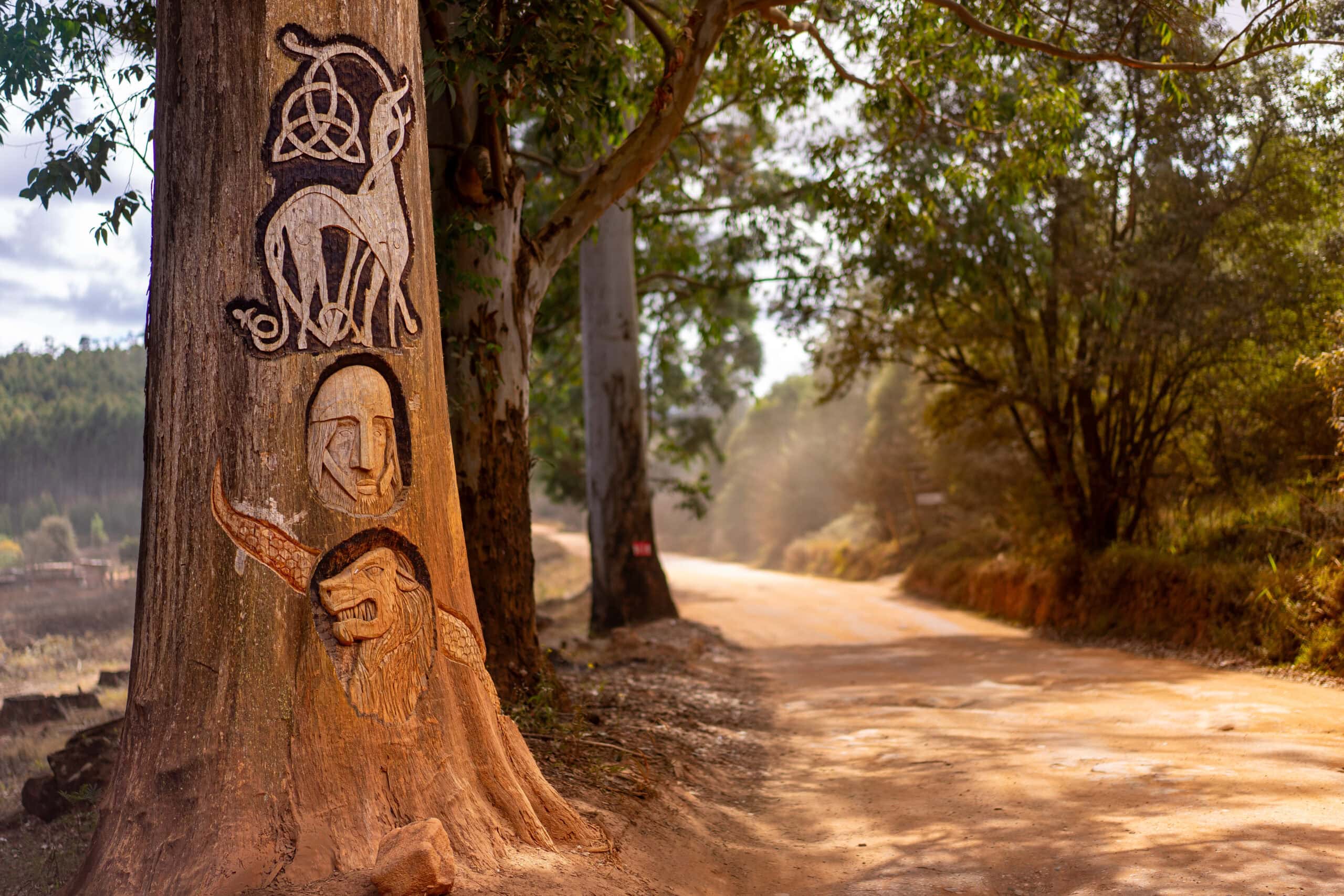 A dirt road near Magoebaskloof, Limpopo with decorative elements carved into the trunk of a gum tree standing next to the road