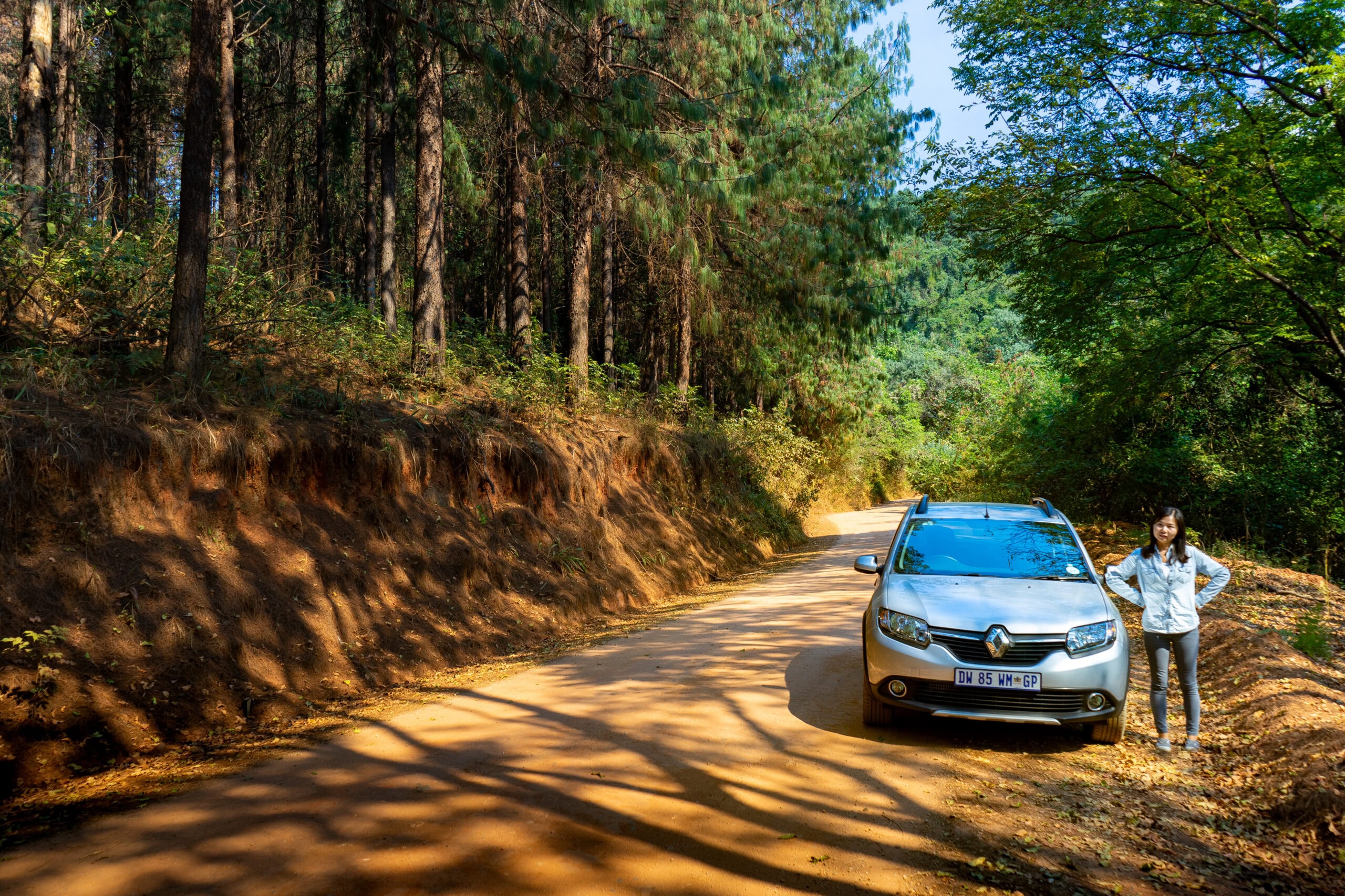 Jin standing next to our car rental on a dirt road in the Magoebaskloof forest. It's a silver Renault Stepway