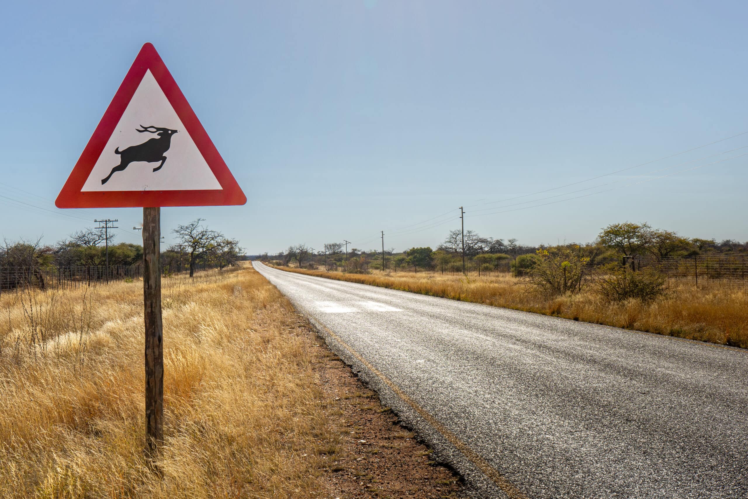 Limpopo road trip itinerary South Africa