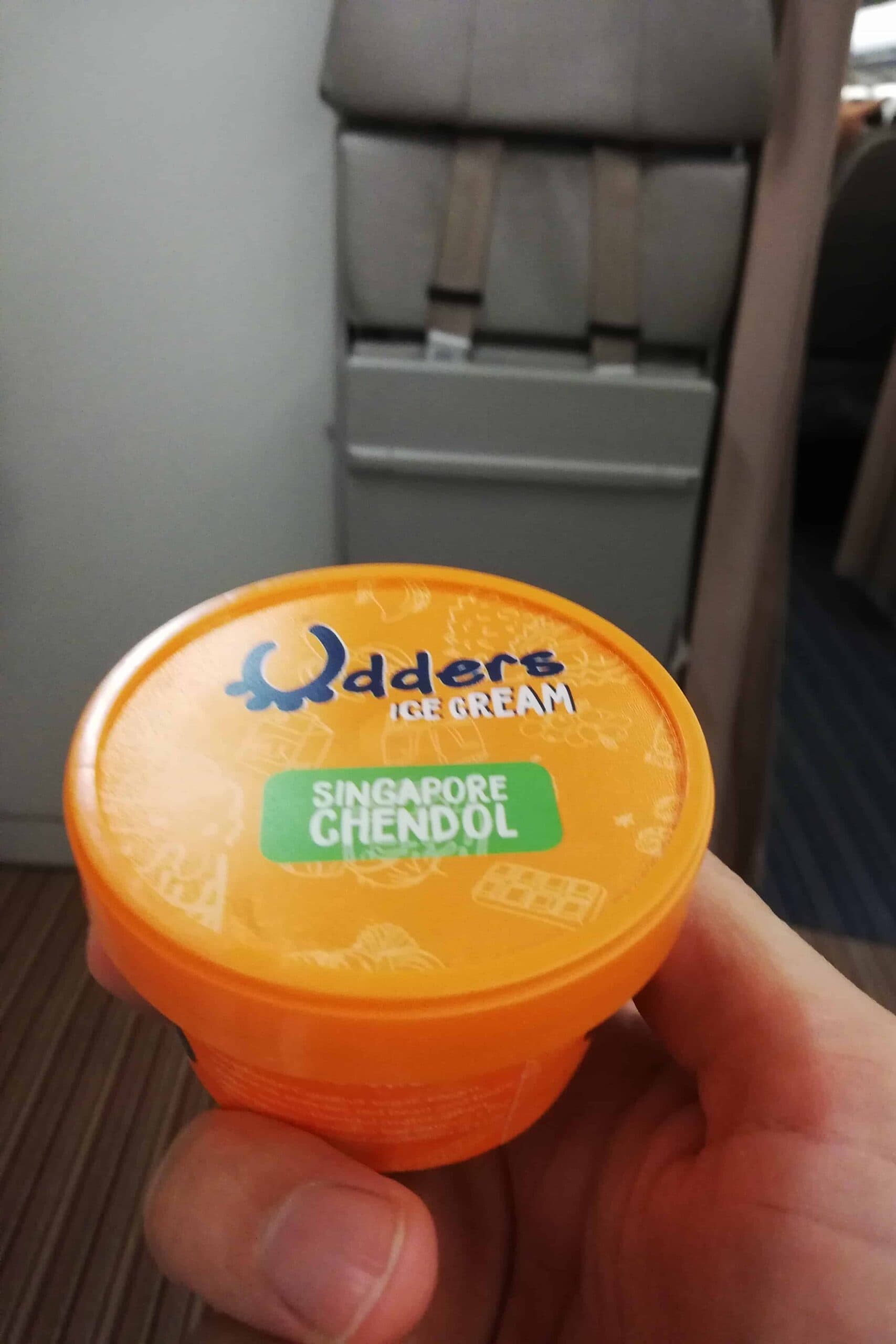 Singapore Cendol flavoured ice cream by Udders served in economy class on Singapore Airlines