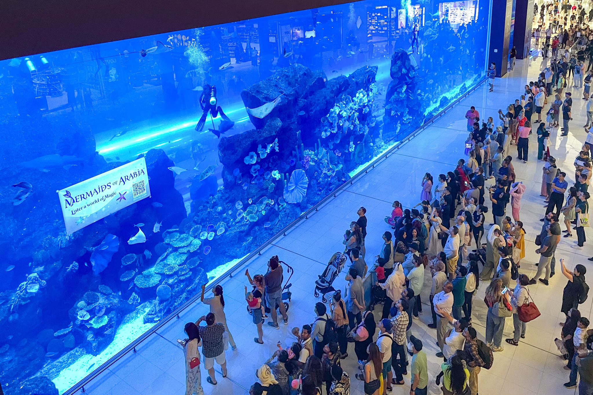Visitors watching the aquarium in Dubai Mall