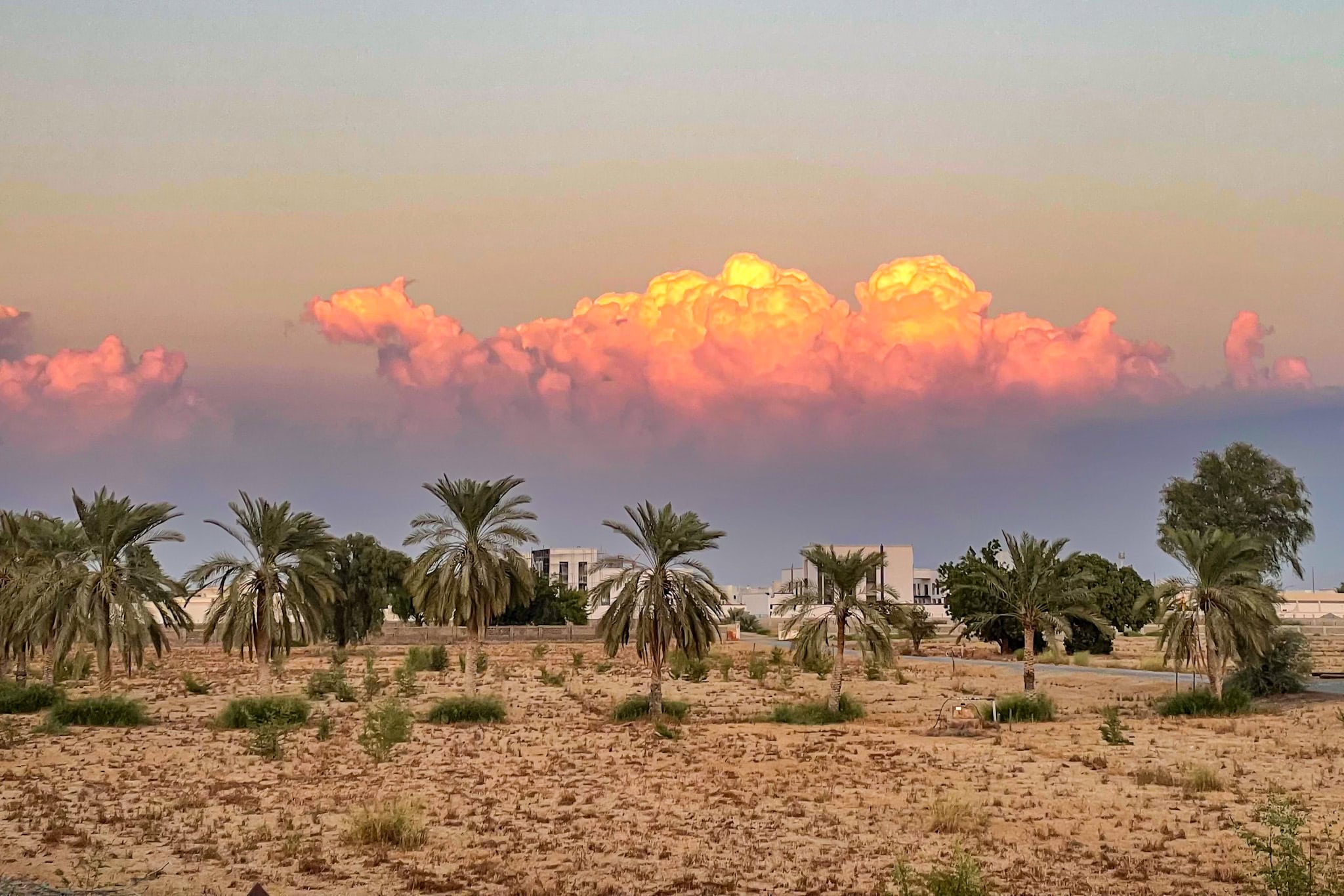 A landscape with clouds building up over Al Ain
