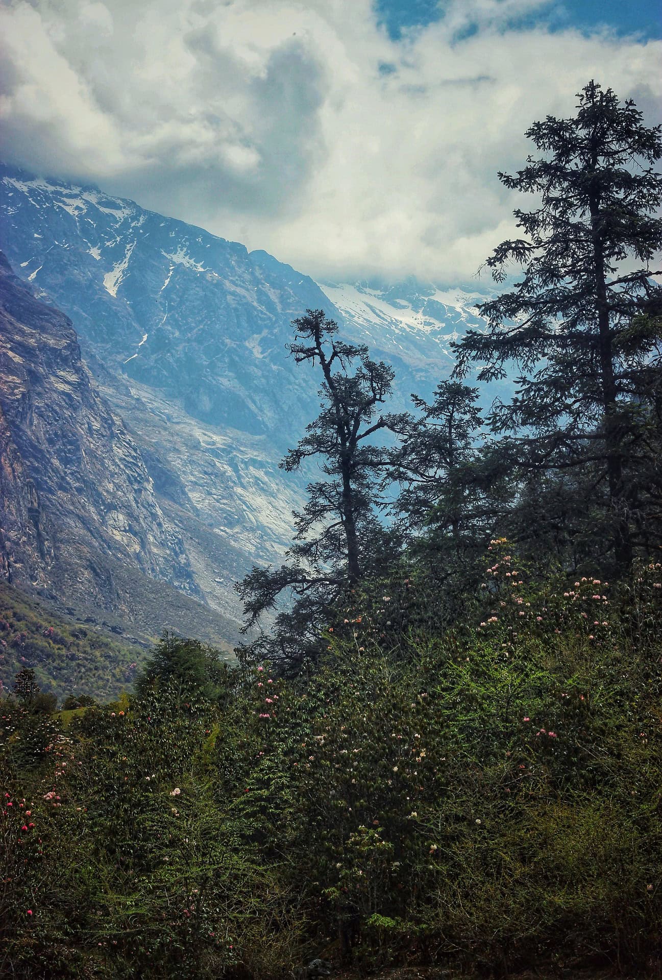 Langtang Valley Trek