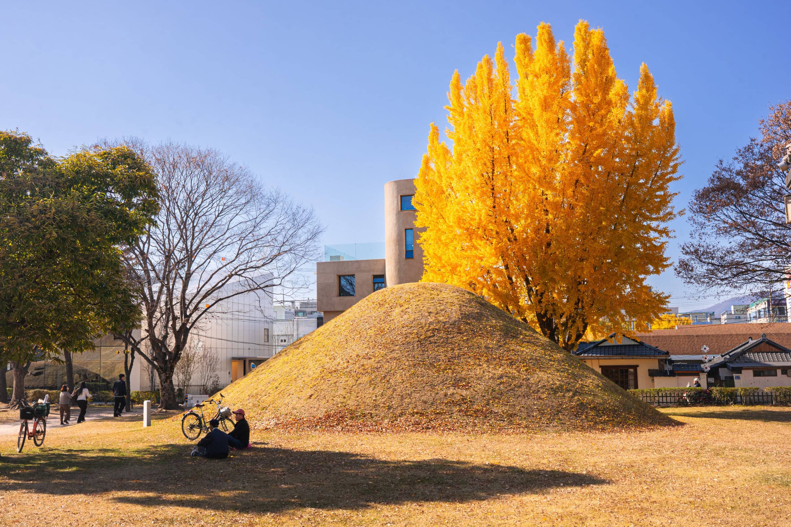 men sin in the shade in front of a burial mound in Gyeongju, South Korea
