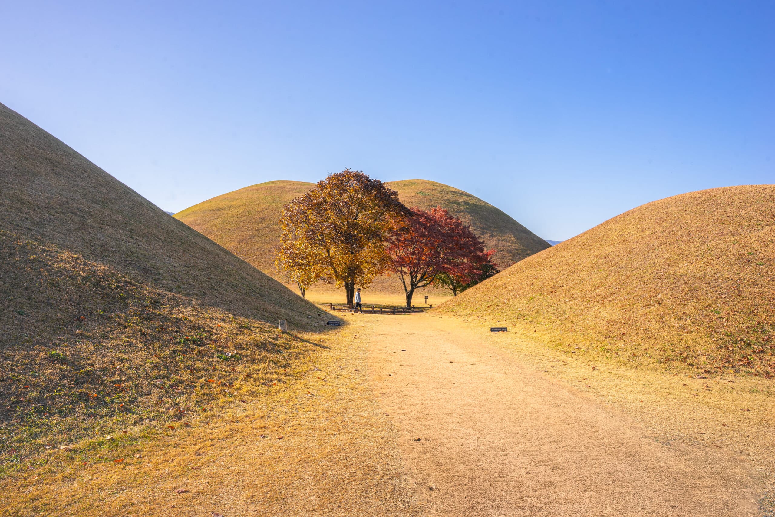 Burial mounds from the Silla Dynasty in Gyeongju
