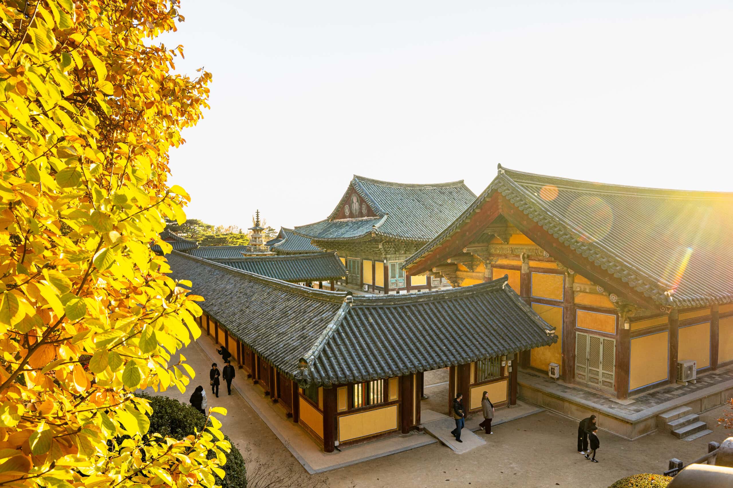 View over the Bulguksa Temple complex in autumn light