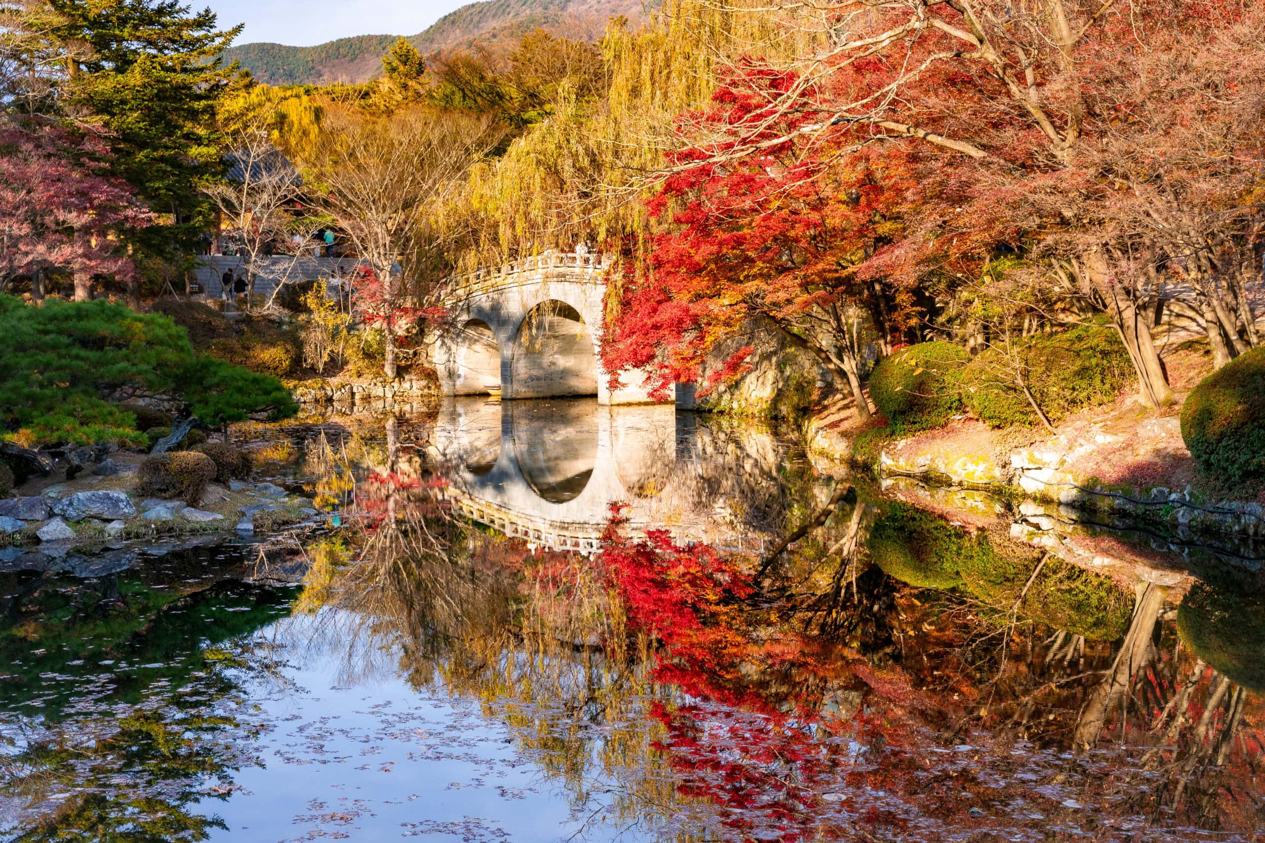 Temple garden with an arched stone bridge and pond seen in fall