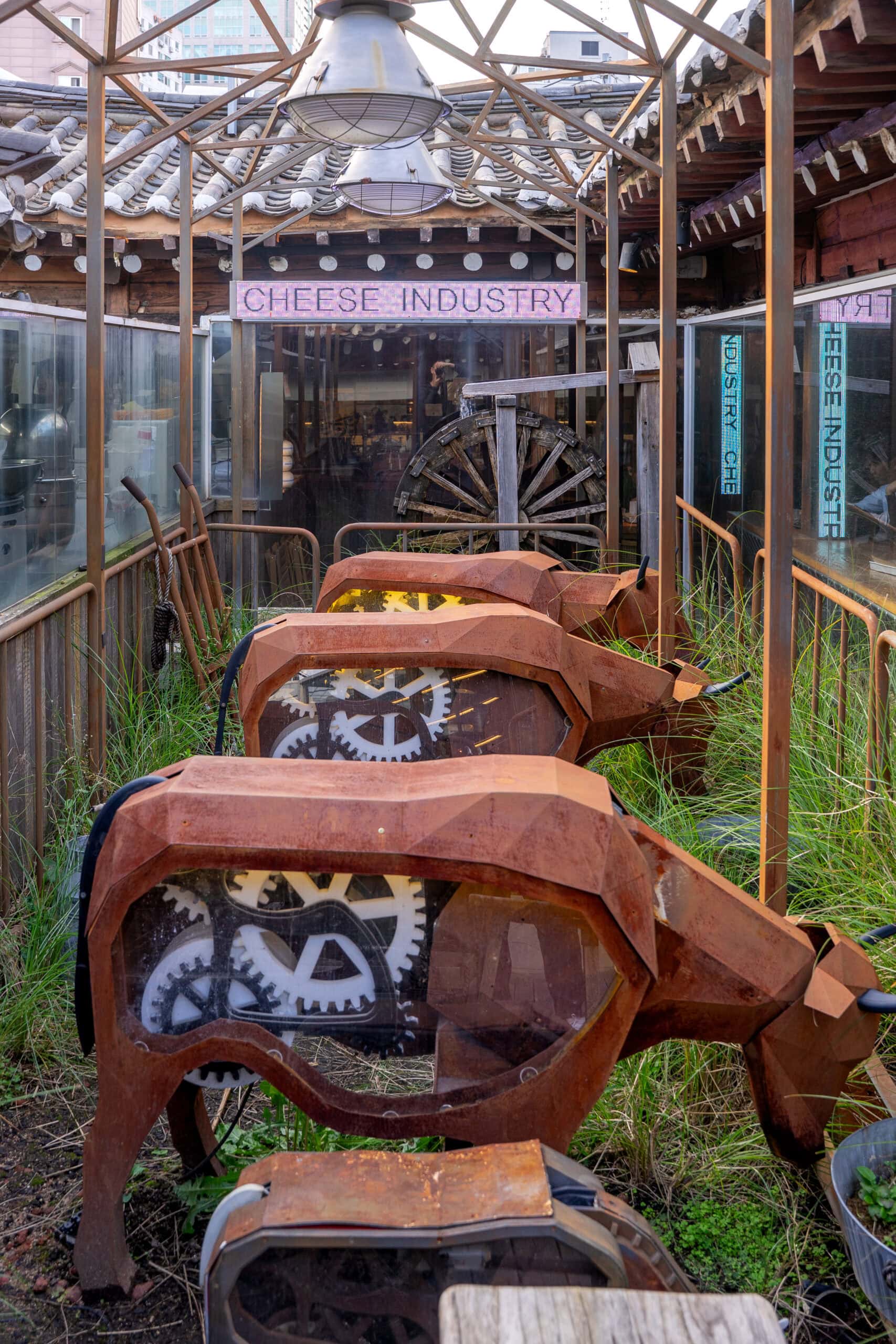 Cows made from rusty metal graze outside Cheese Industry Cafe in Ikcheon-dong, Seoul