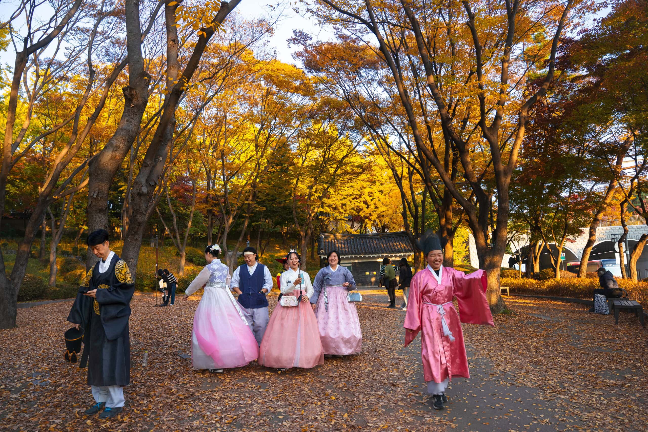 A family of 7 dressed in hanbok laughing while taking photos under the fall leaves in Seoul