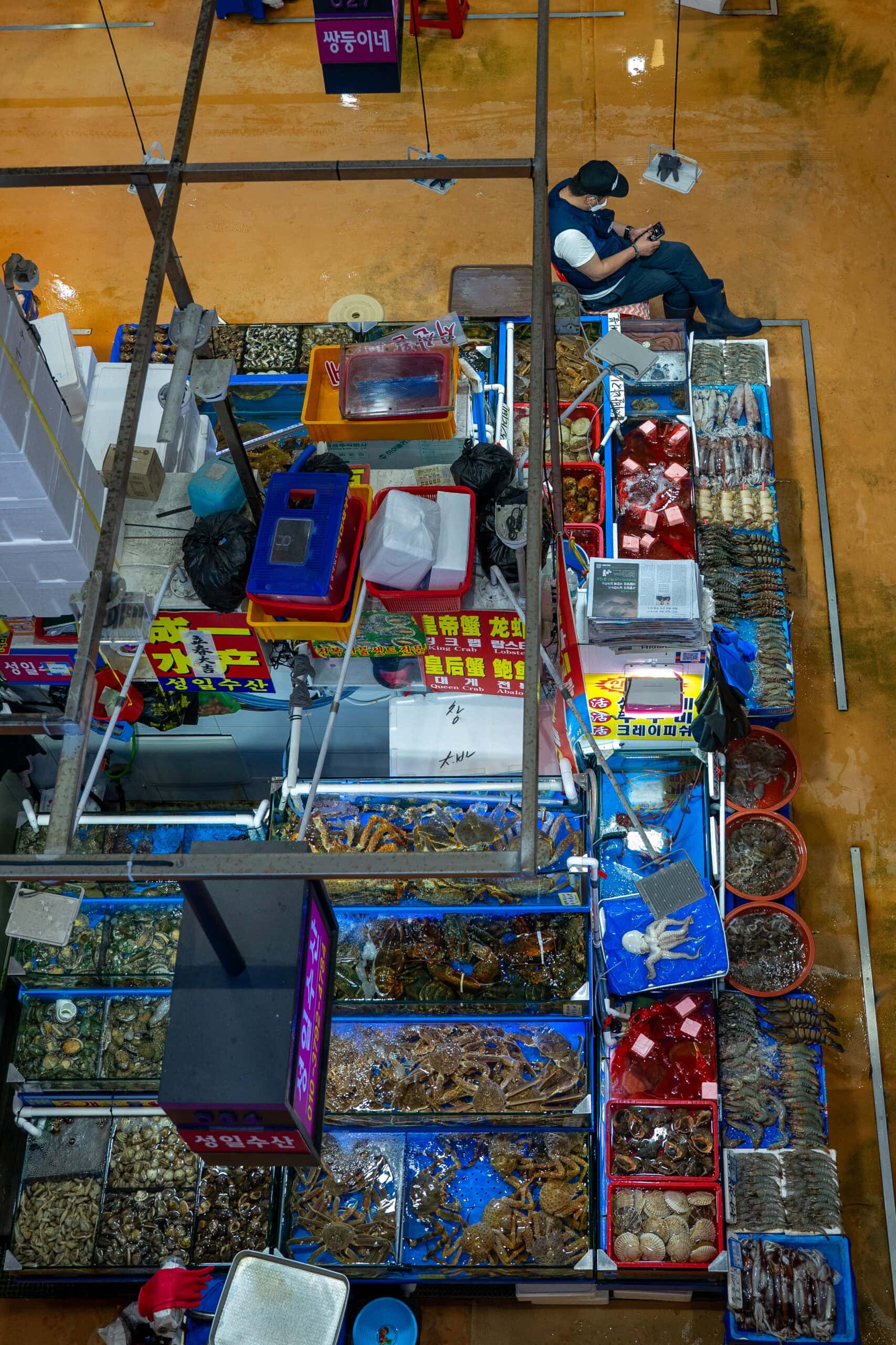 Noryangjin Fisheries Wholesale Market