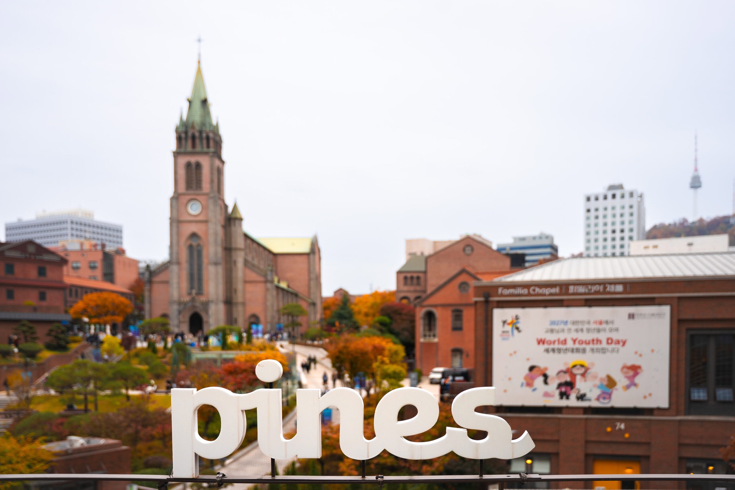 Pines Cafe sign with the Myeong-dong cathedral and N-Seoul Tower behind it