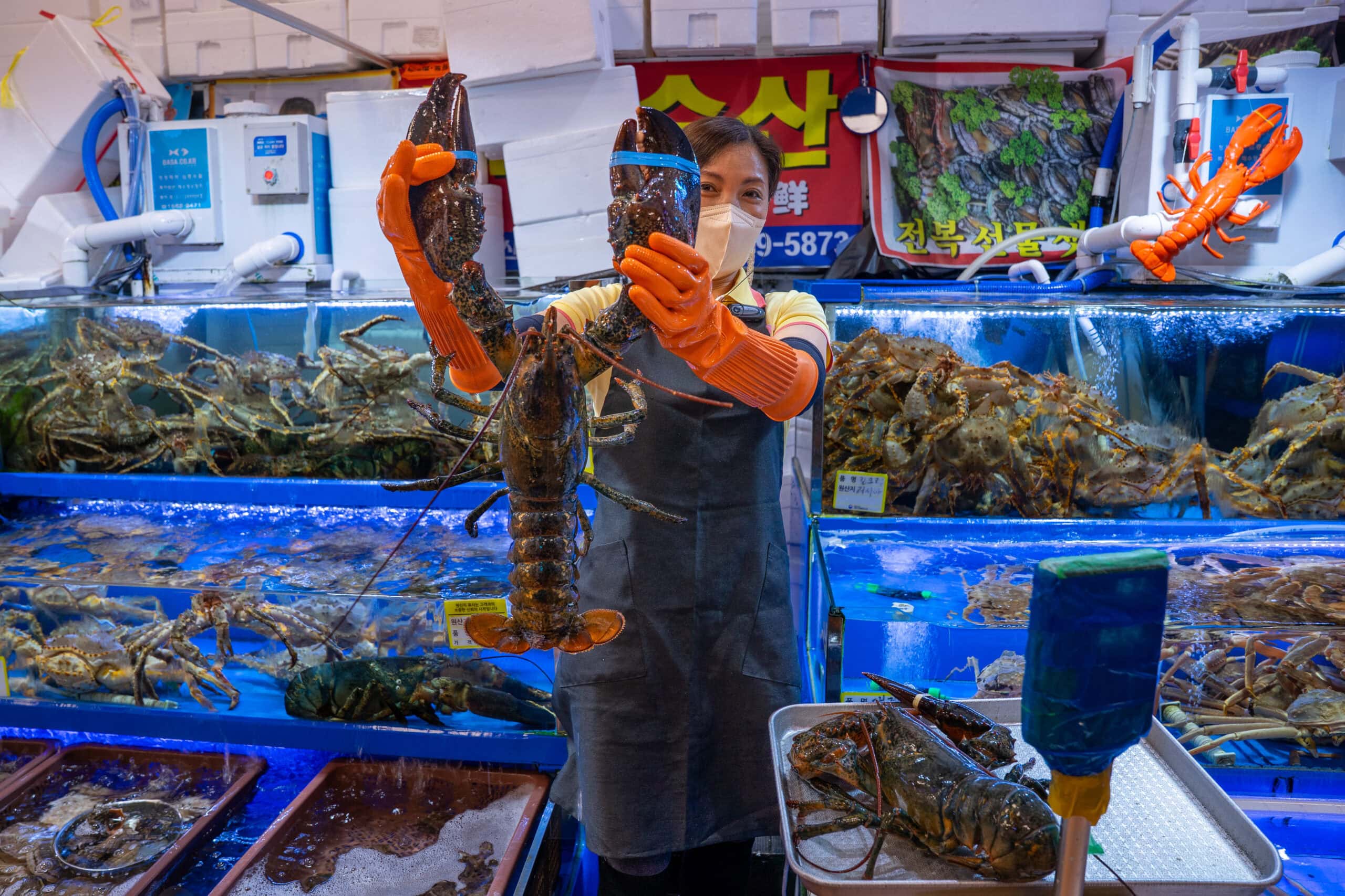A women vendor holds a huge lobster by its claws at Noryangjin Fisheries Wholesale Market