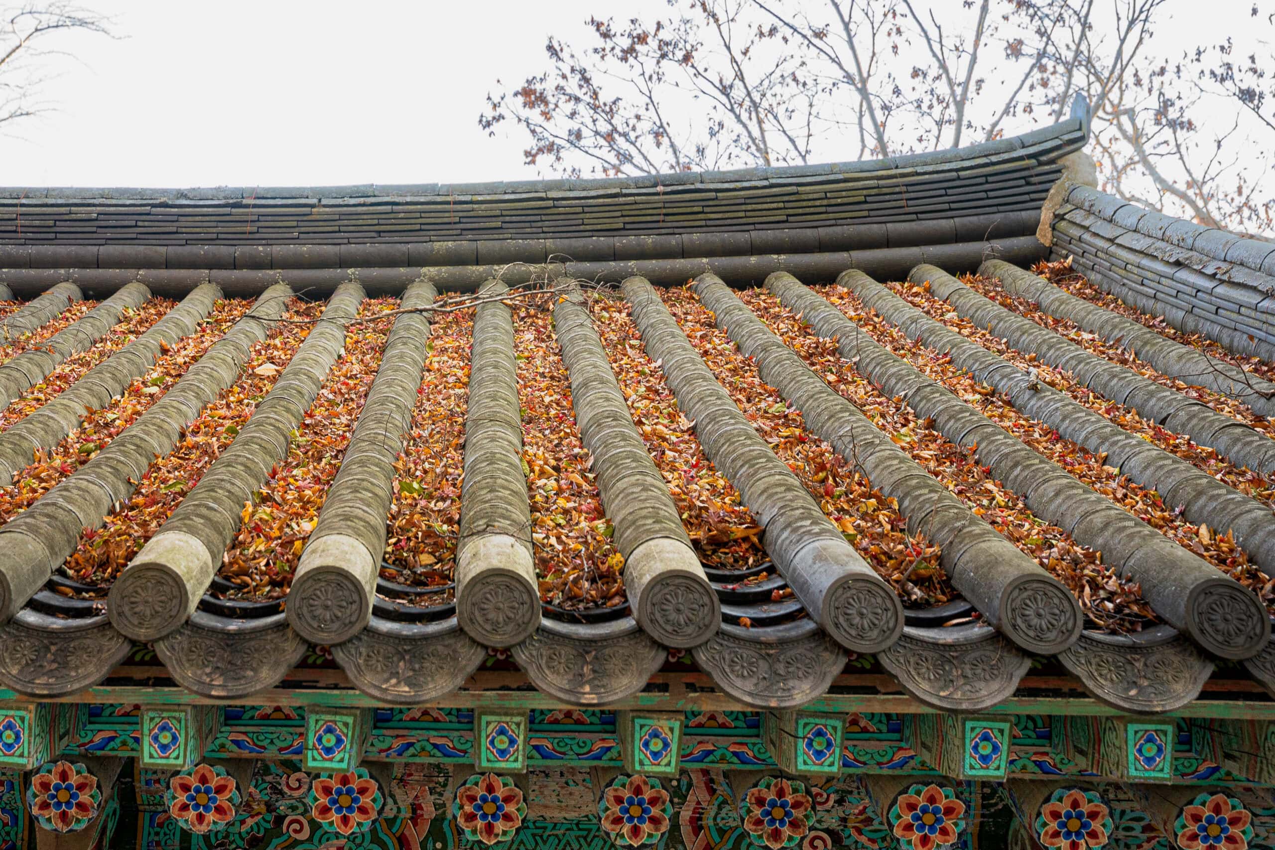 leaves on a traditional korean roof seen in fall