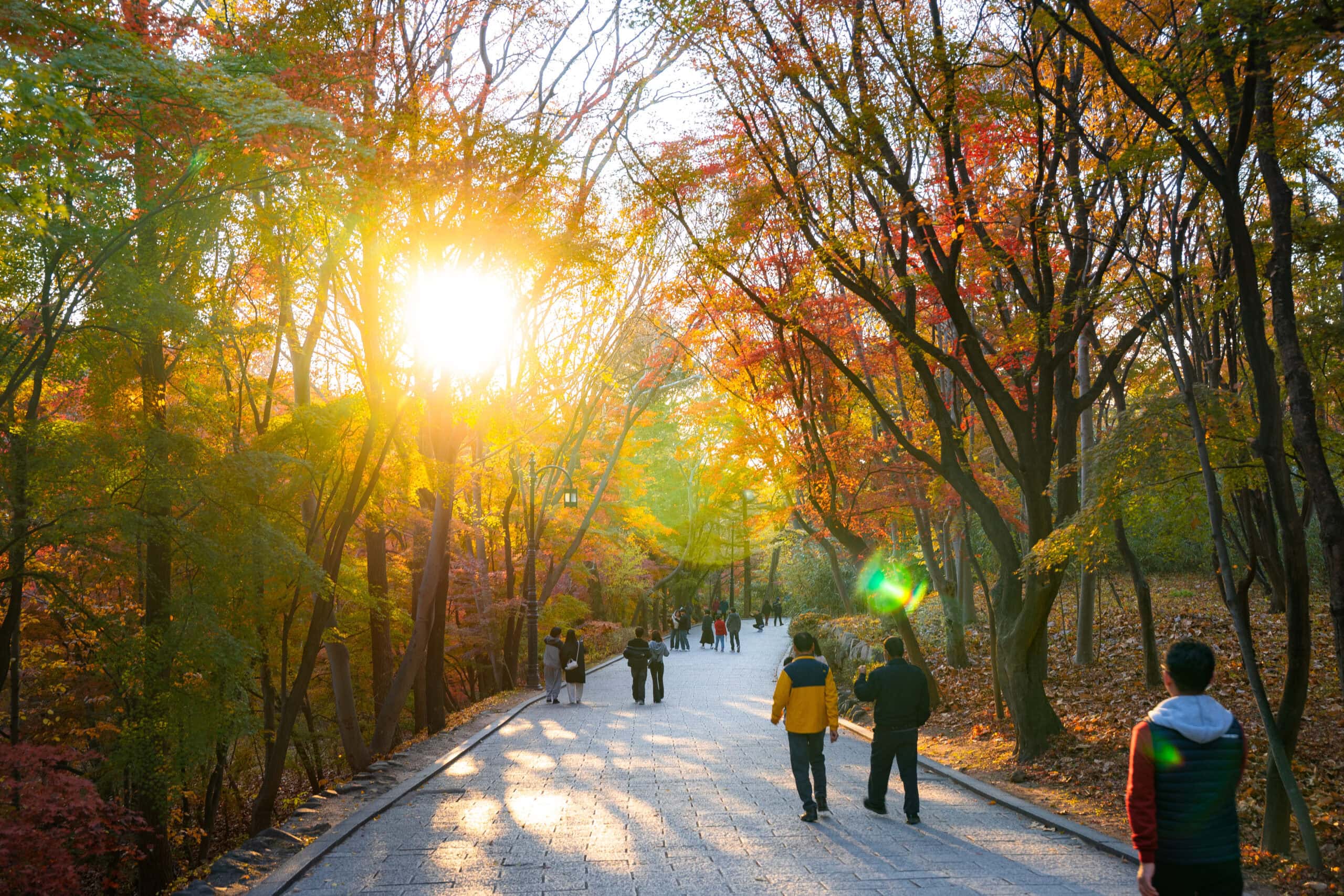People leaving the temple grounds in late afternoon light walking along a path lined by red and yellow maple trees