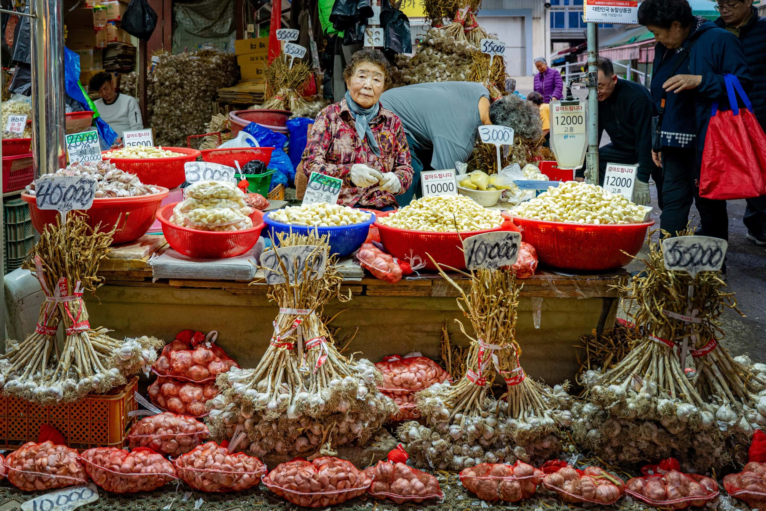An elderly Korean women sitting between garlic cloves in buckets looks at the camera. It's a beutiful, atmospheric photo that captures Gyeongdong Market