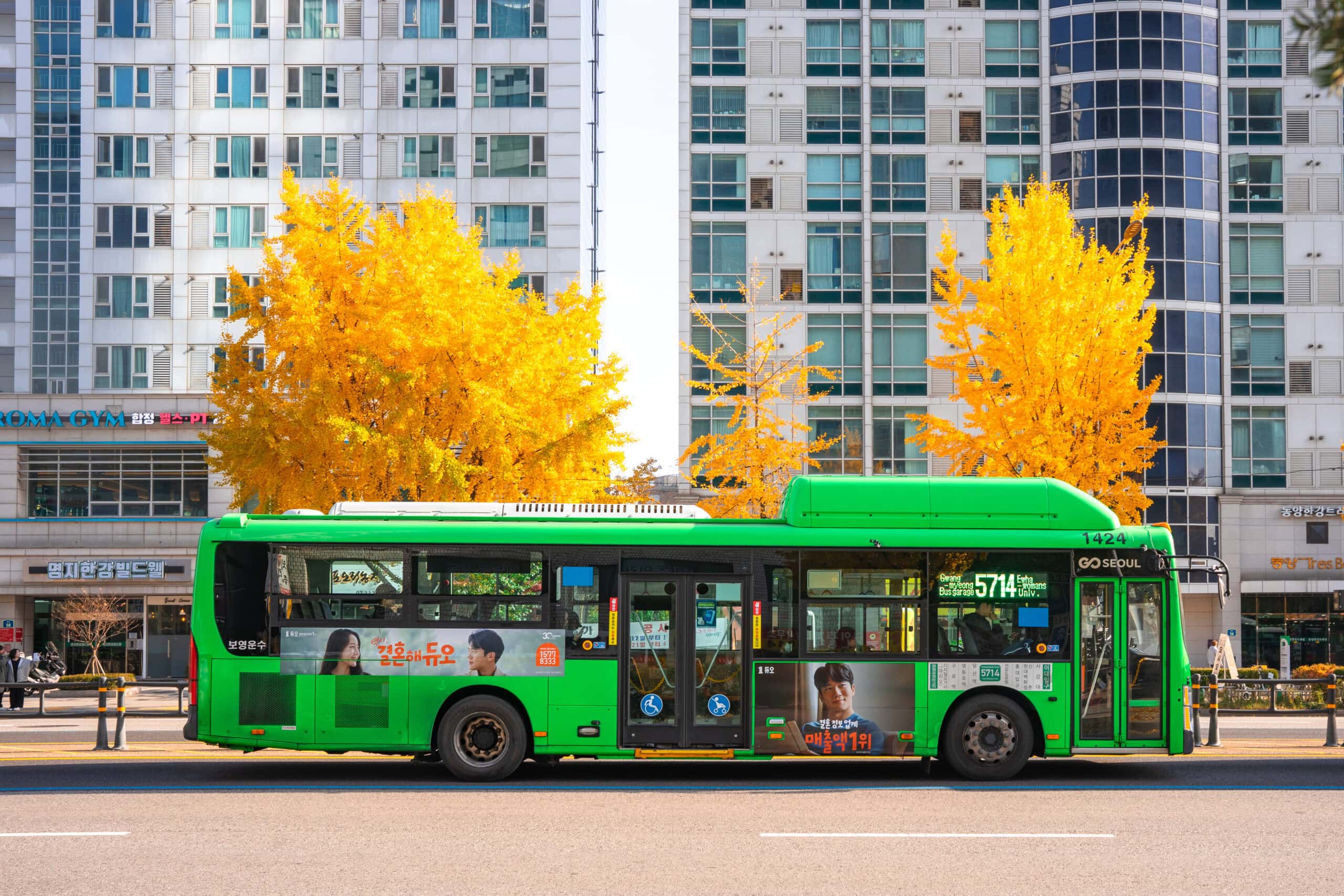 A green Seoul city bus (number 5714) drives past bright yellow ginkgo trees in Hapjeong, Seoul